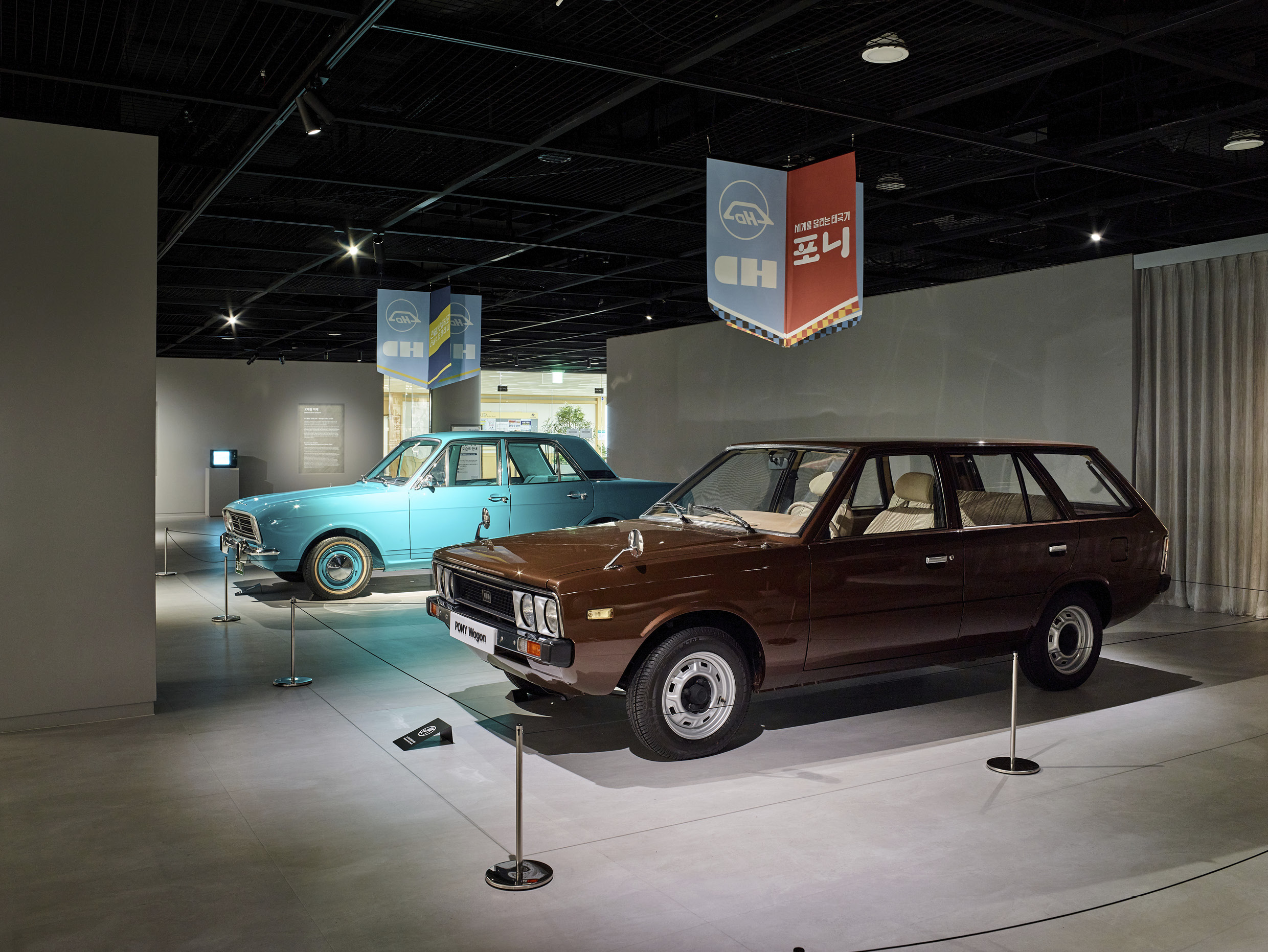 Pony and cortina in exhibition