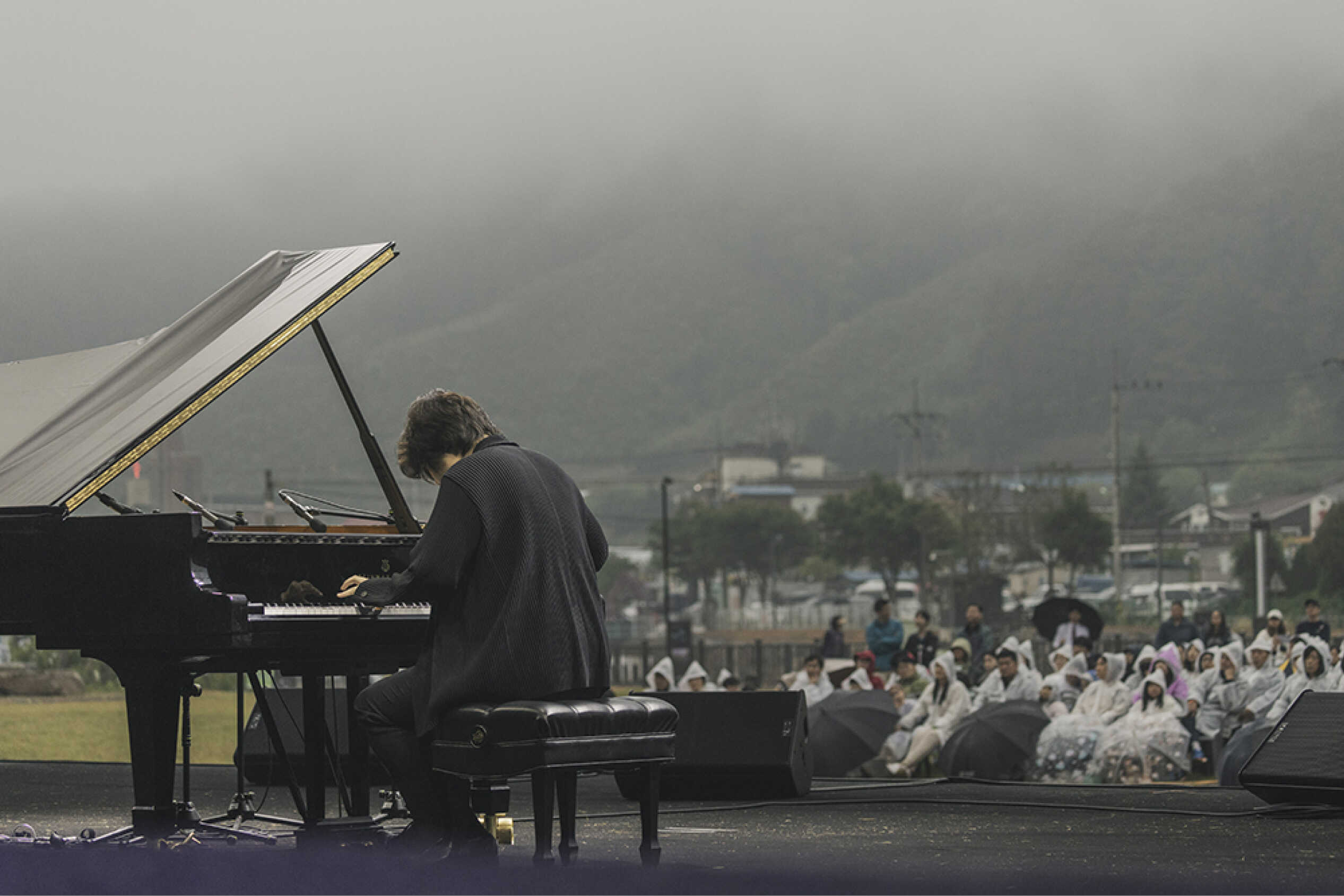 the back of a man playing the piano