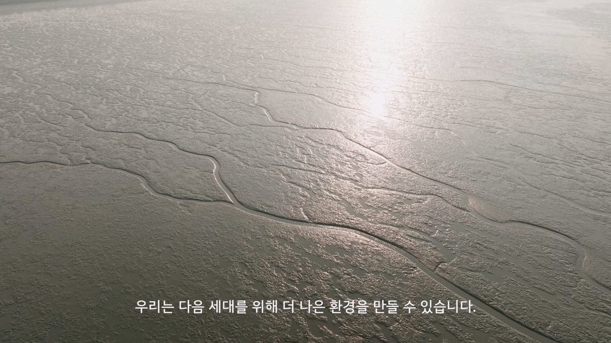 갯벌을 하늘에서 바라본 모습