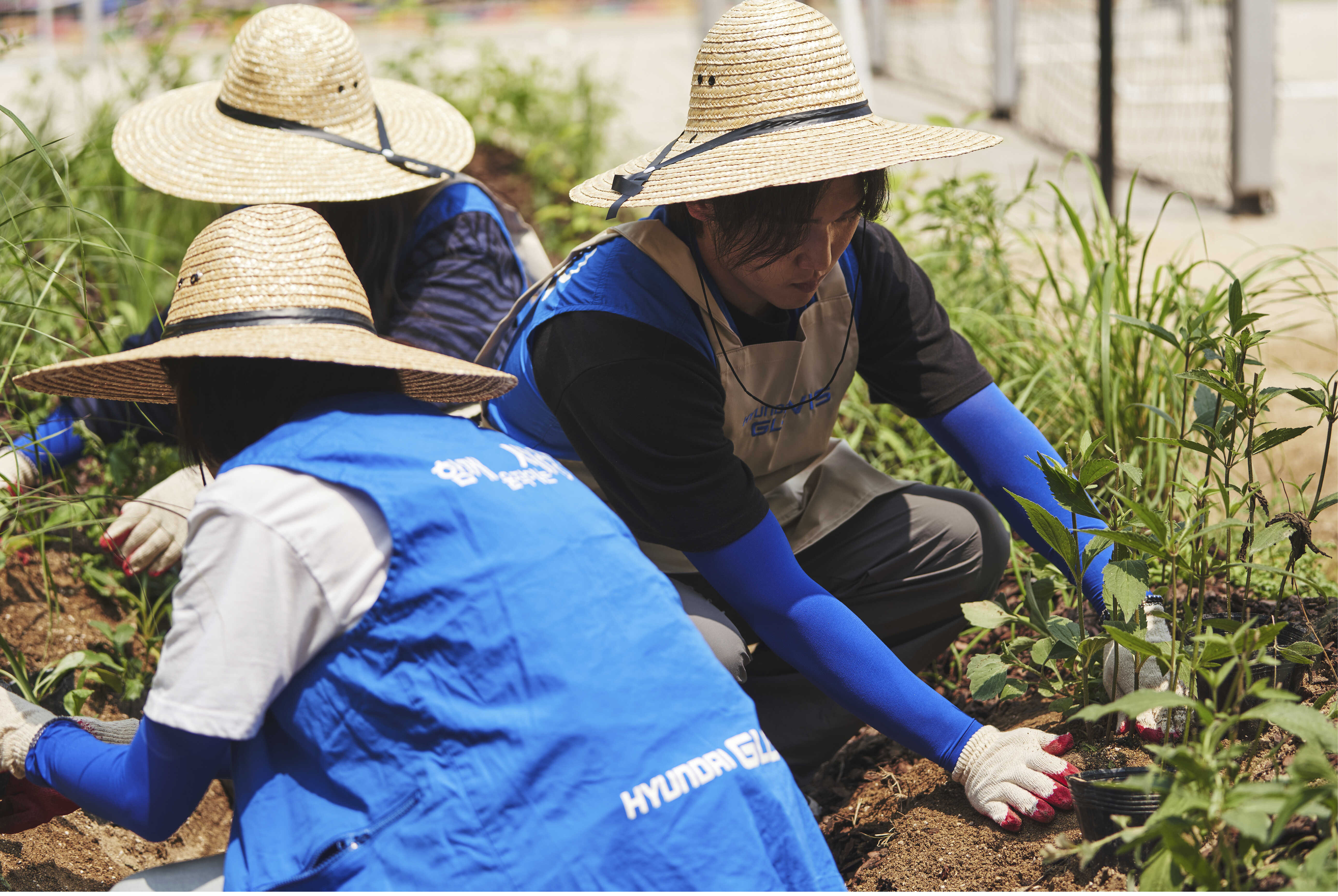 환경 보전 활동 중인 임직원들의 모습