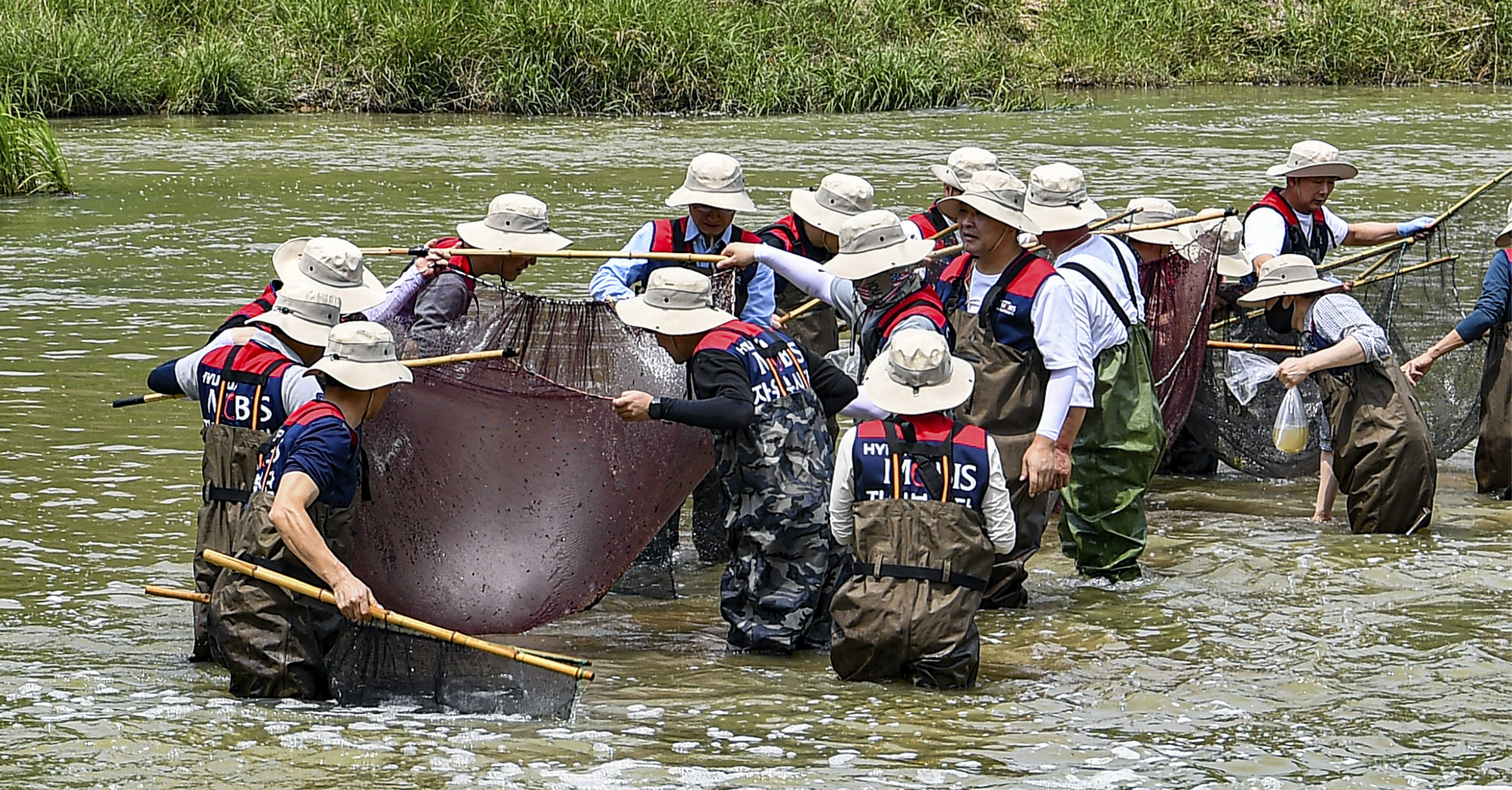 the sight of people catching fish in the river