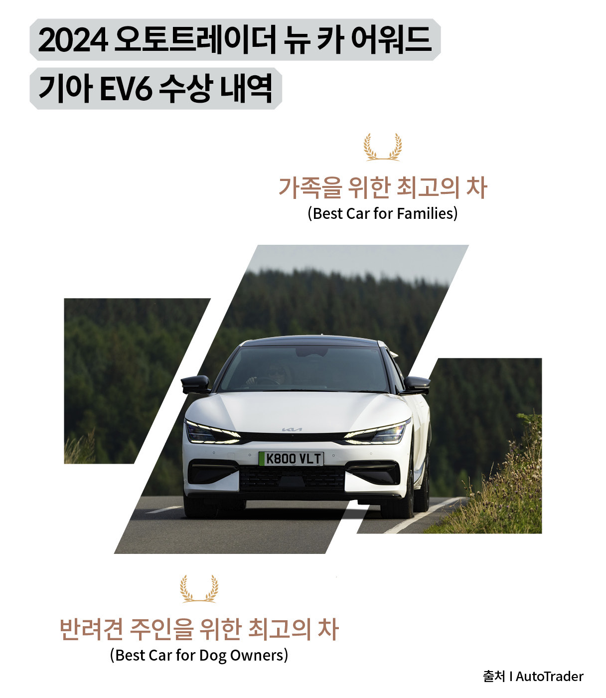 흰색 EV6가 숲길을 주행하는 전면 모습