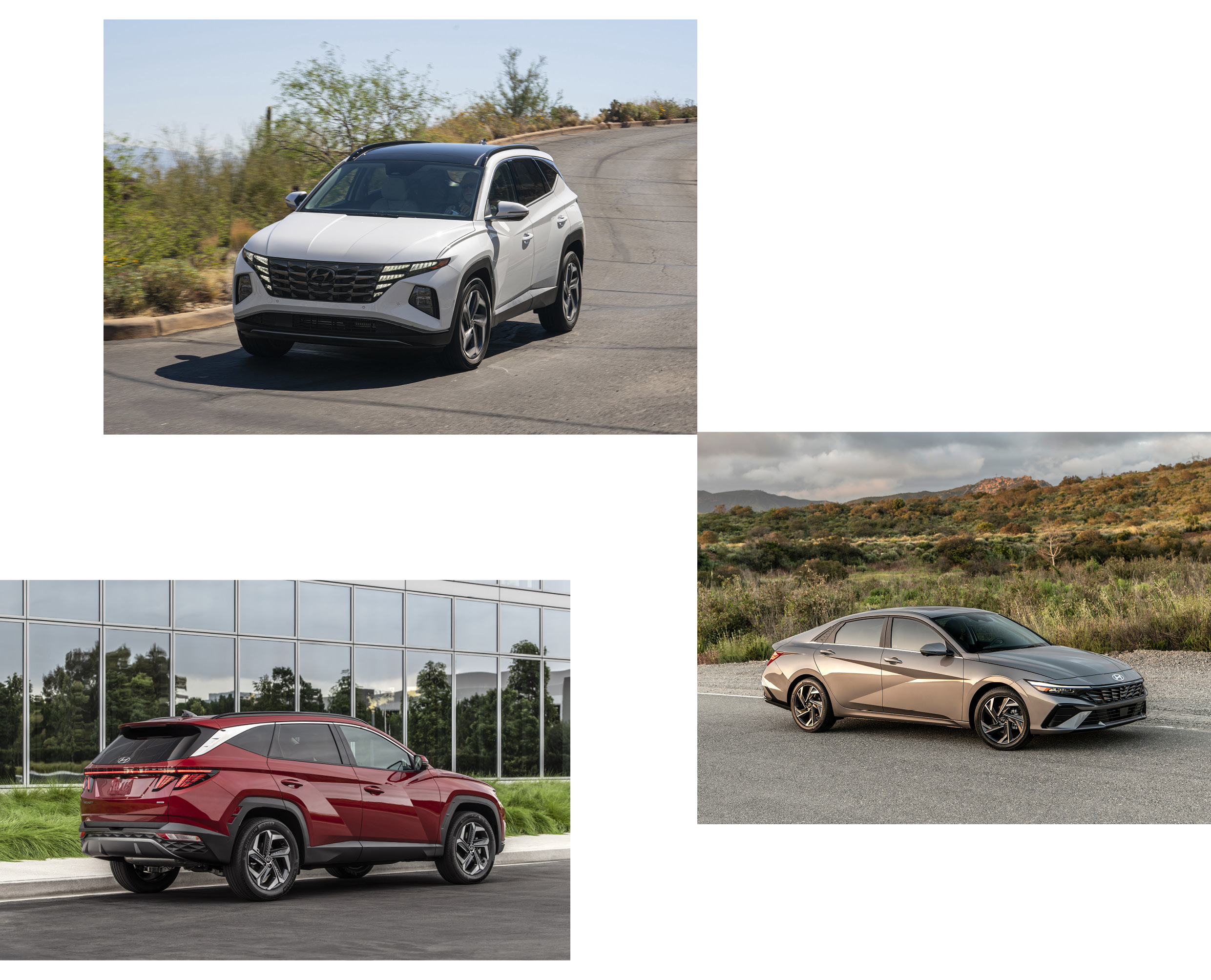 북미의 한적한 교외와 건물을 배경으로 둔 현대차 SUV 투싼과 아반떼