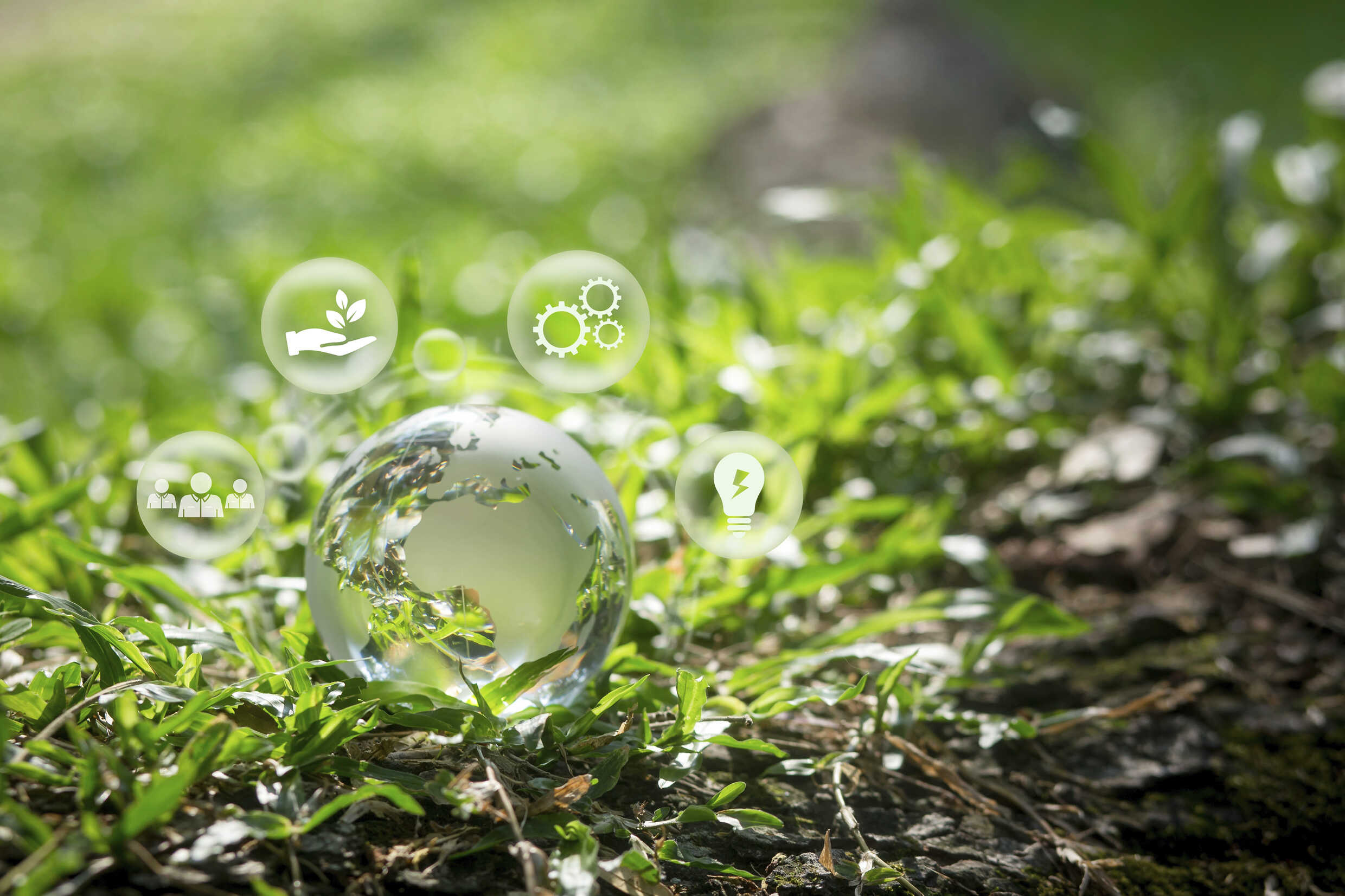 a transparent model of the earth laid over green shoots