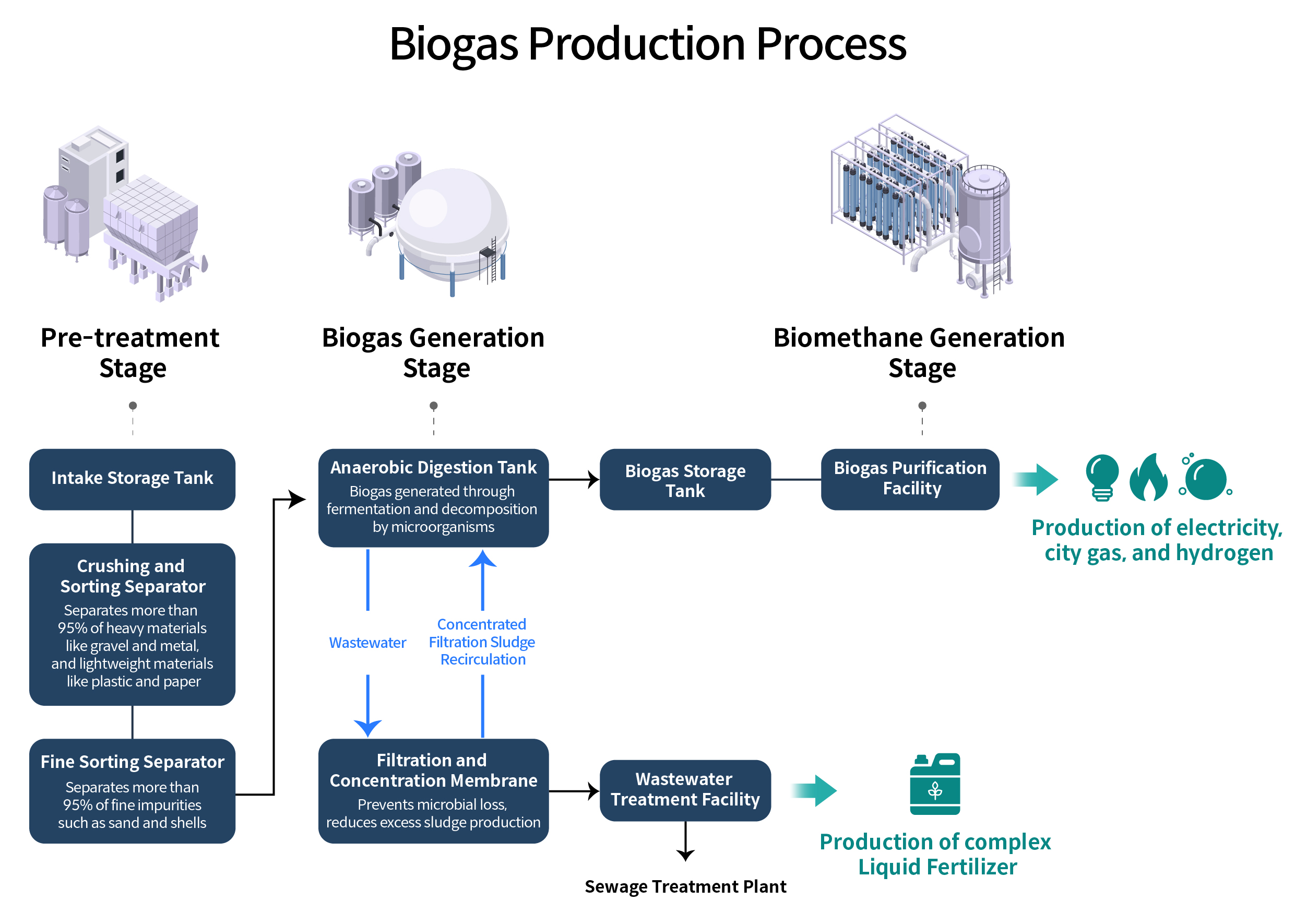 Infographic showing biogas production process