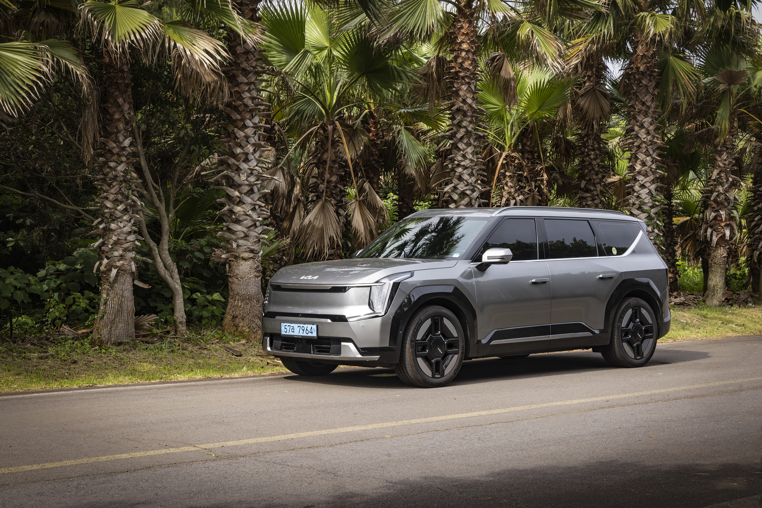 A front view of a gray SUV stopping against the backdrop of palm trees