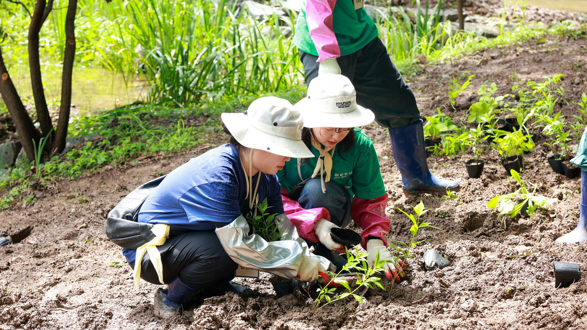 충북 진천 미르숲에서 친환경 봉사 활동을 하는 ‘해피무브 더 그린’ 단원들의 모습