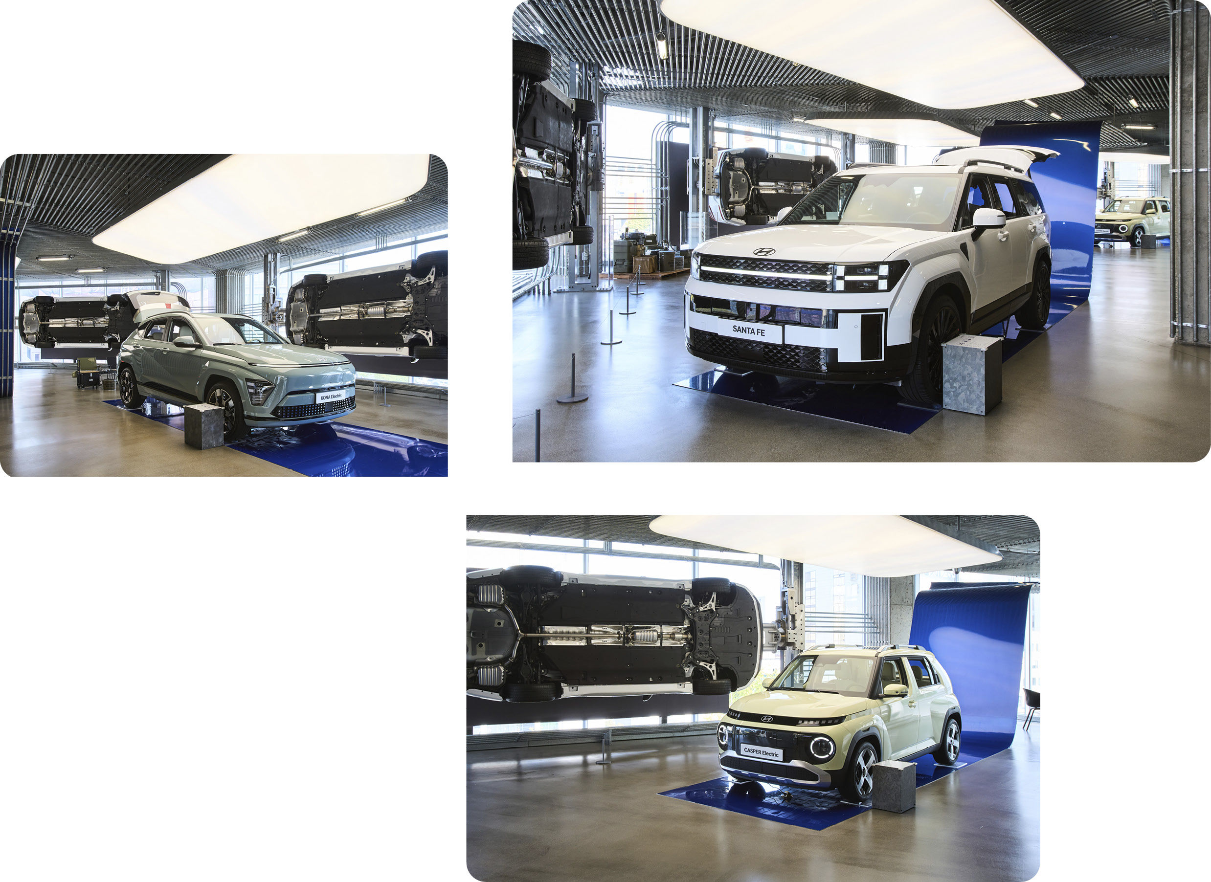 4층 전시 공간 양산차 라인업