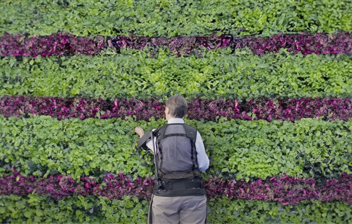 엑스블 숄더의 편측 사용 예시