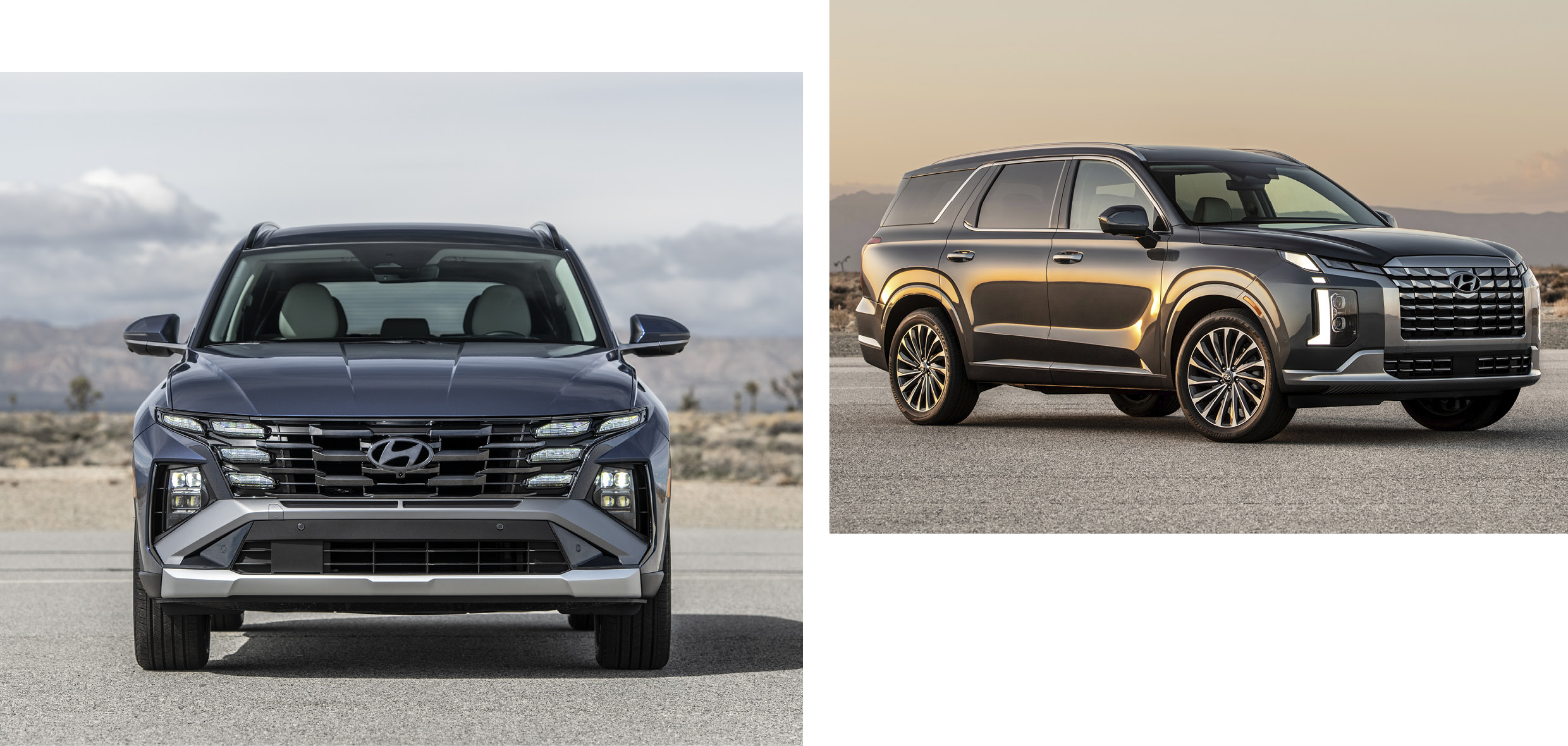 현대차 투싼과 팰리세이드의 모습