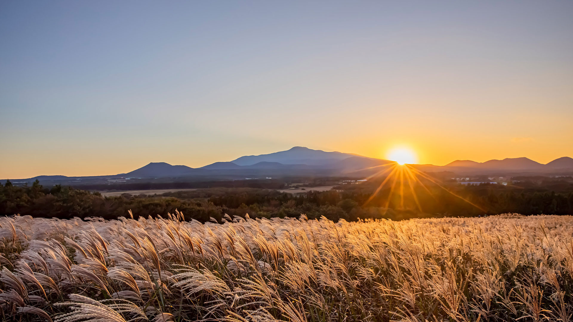 해비치 호텔앤드리조트 제주, ‘비 더 오르머!’ 패키지 출시