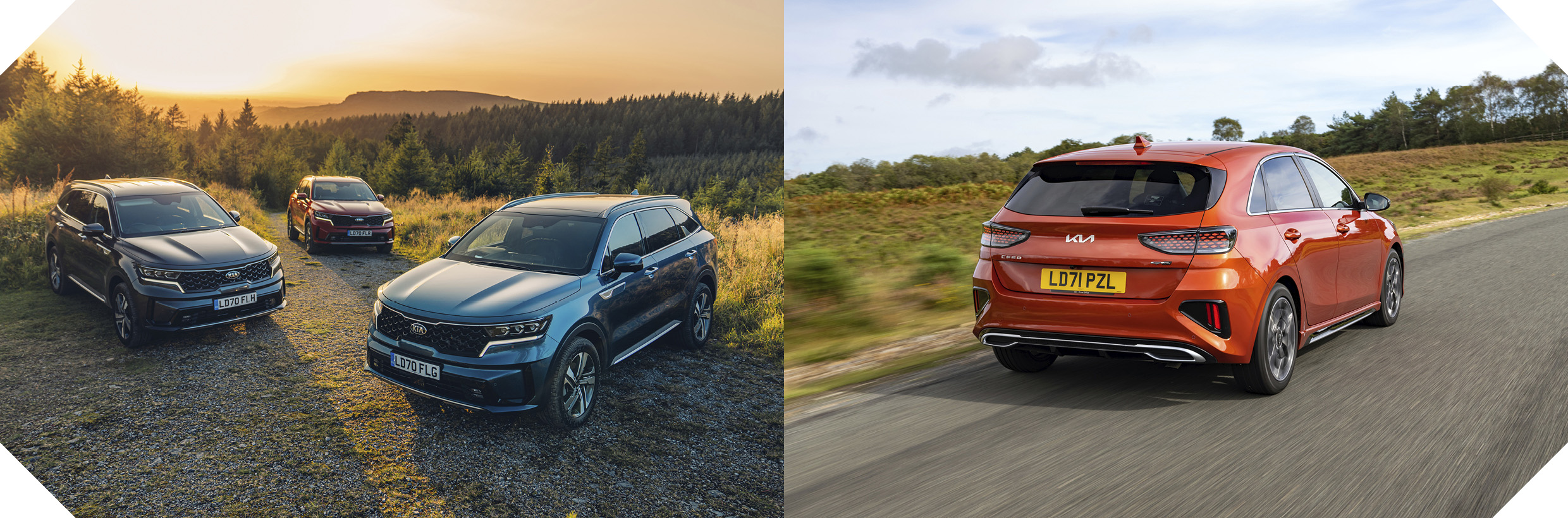 오토 익스프레스 중고차 어워드 2024 기아 수상 차종. 기아 쏘렌토, 씨드