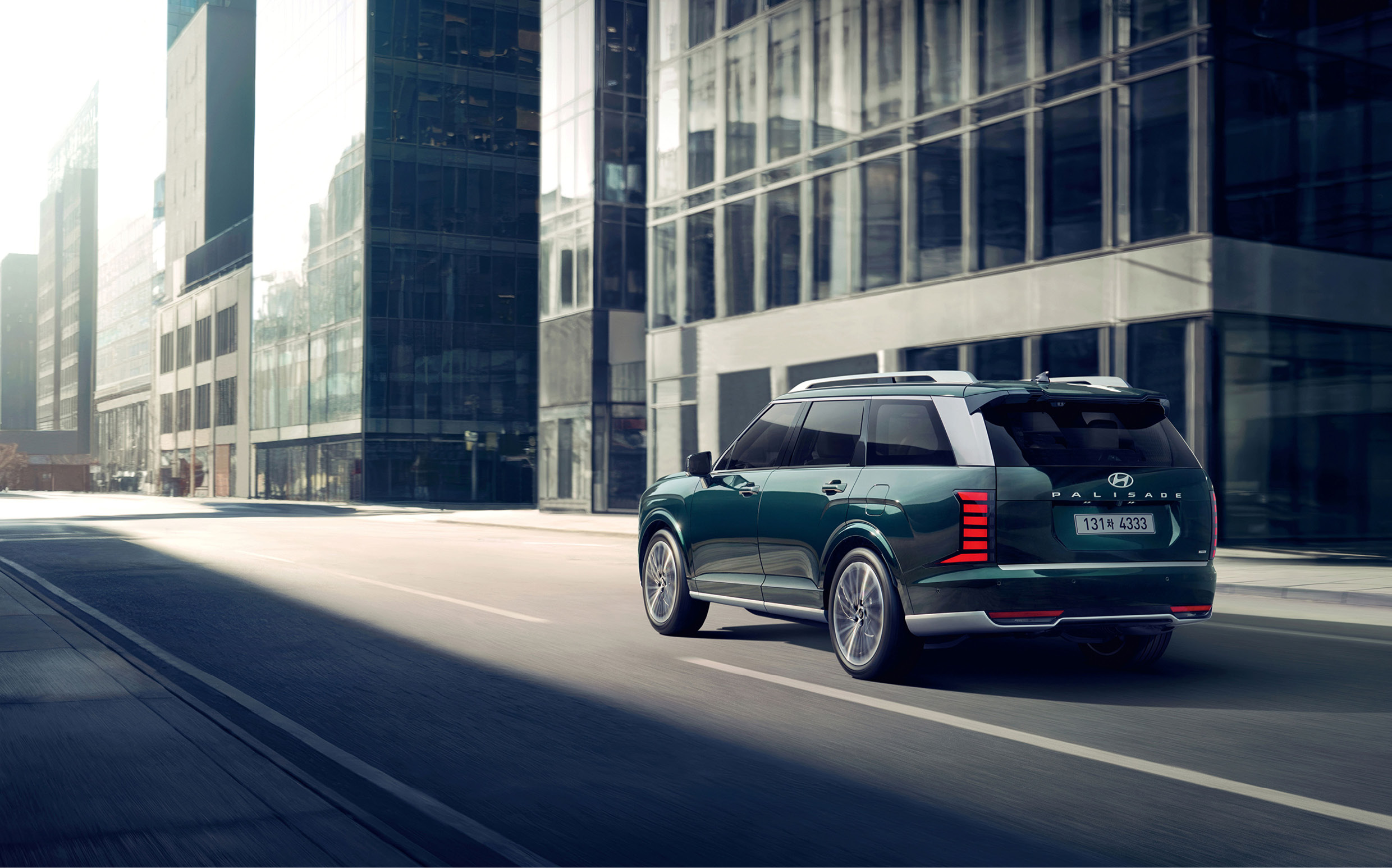 팰리세이드가 주행 중인 모습