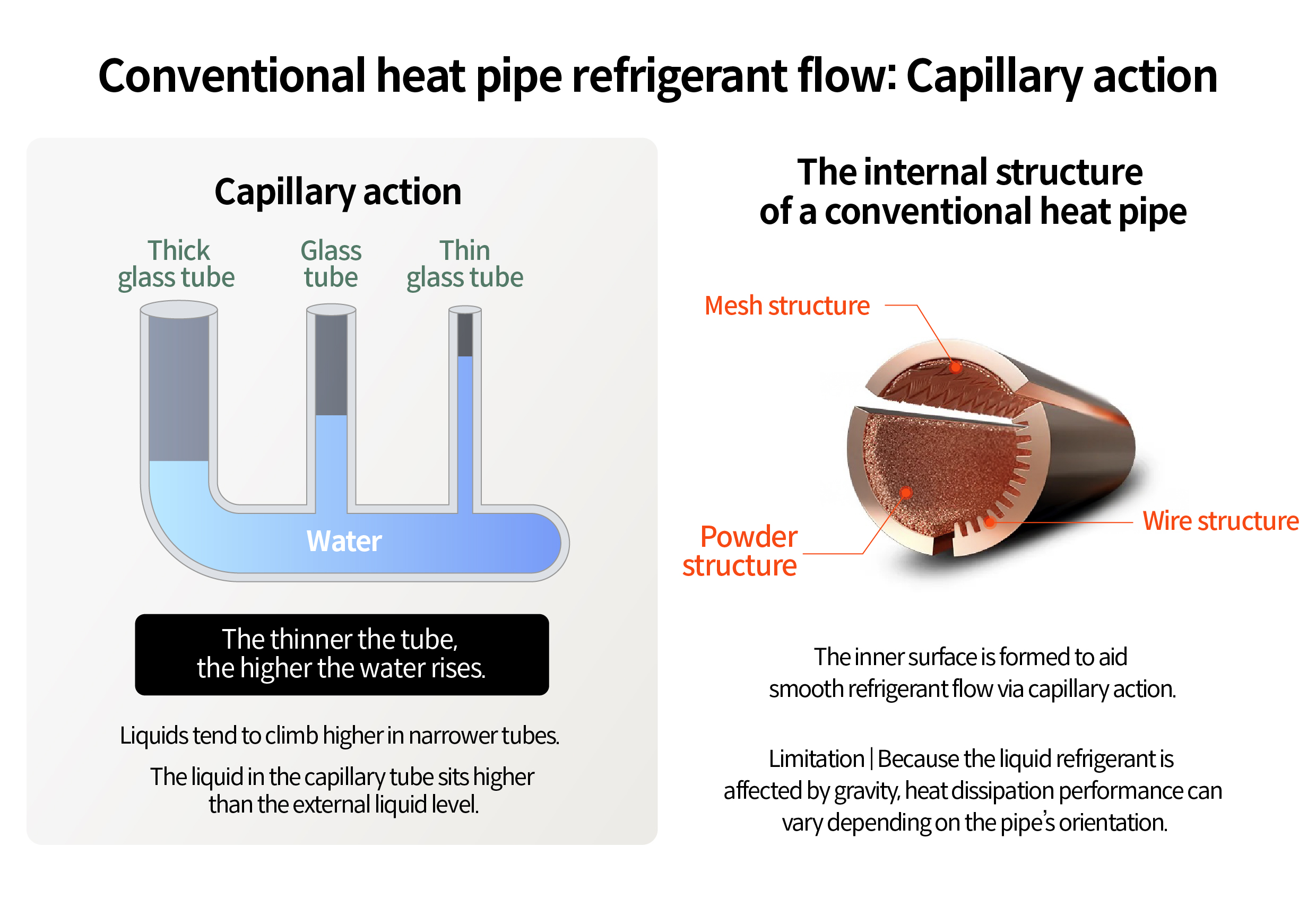 Infographic explaining the concept of capillary phenomenon