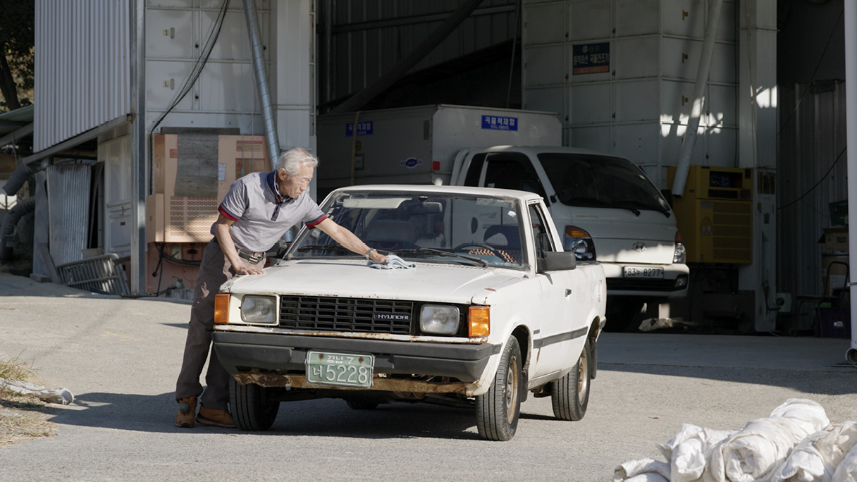 driver cleaning the car