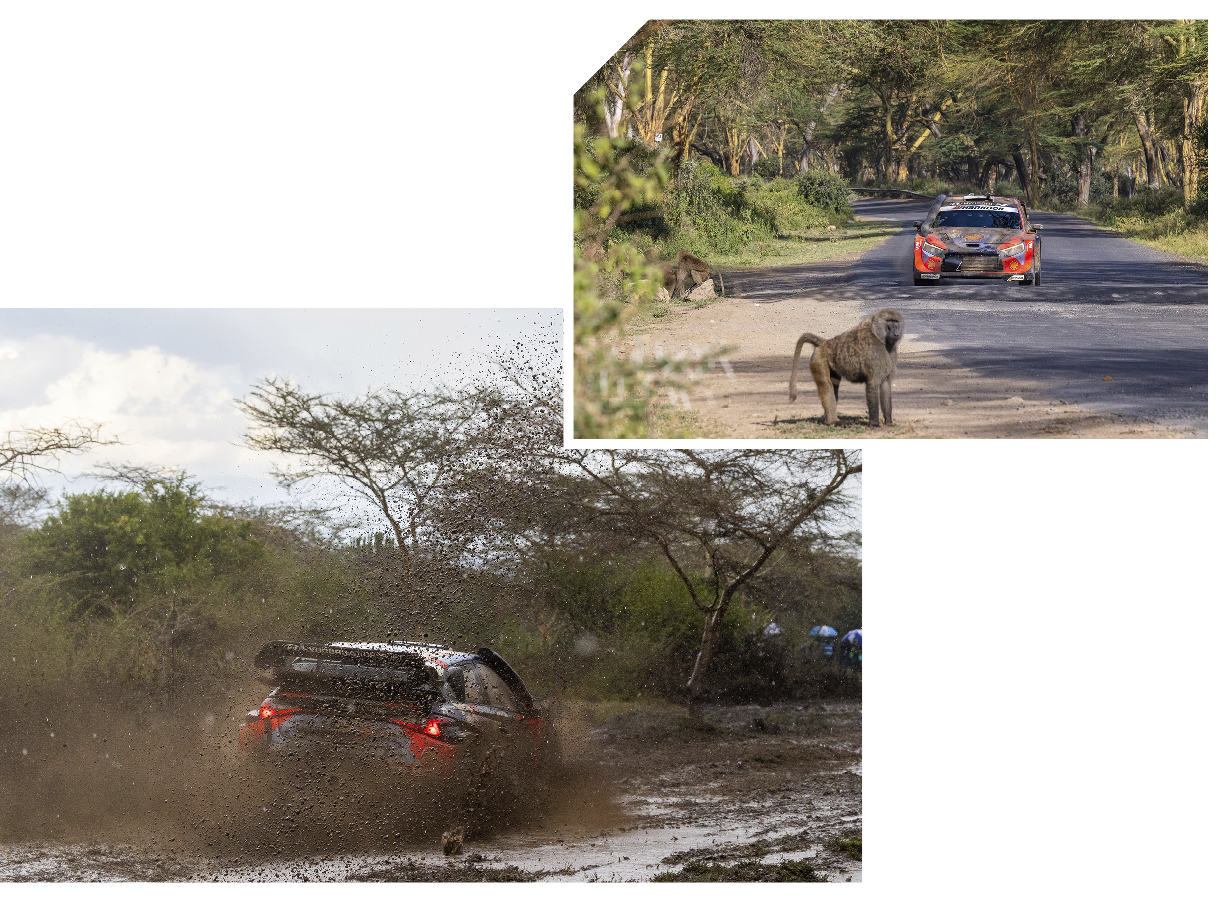 a rally car speeding down a rough road