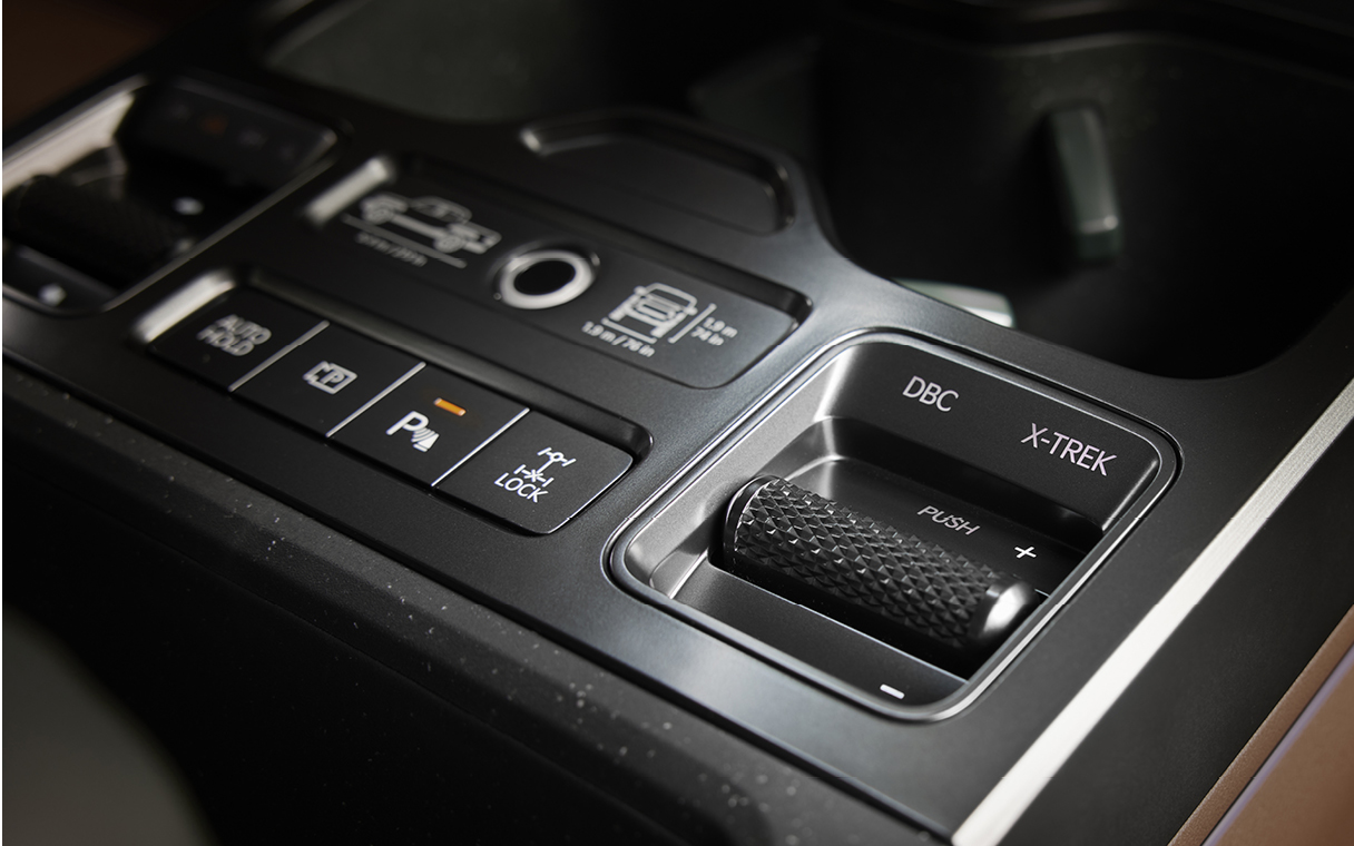 타스만의 X-TREK 버튼