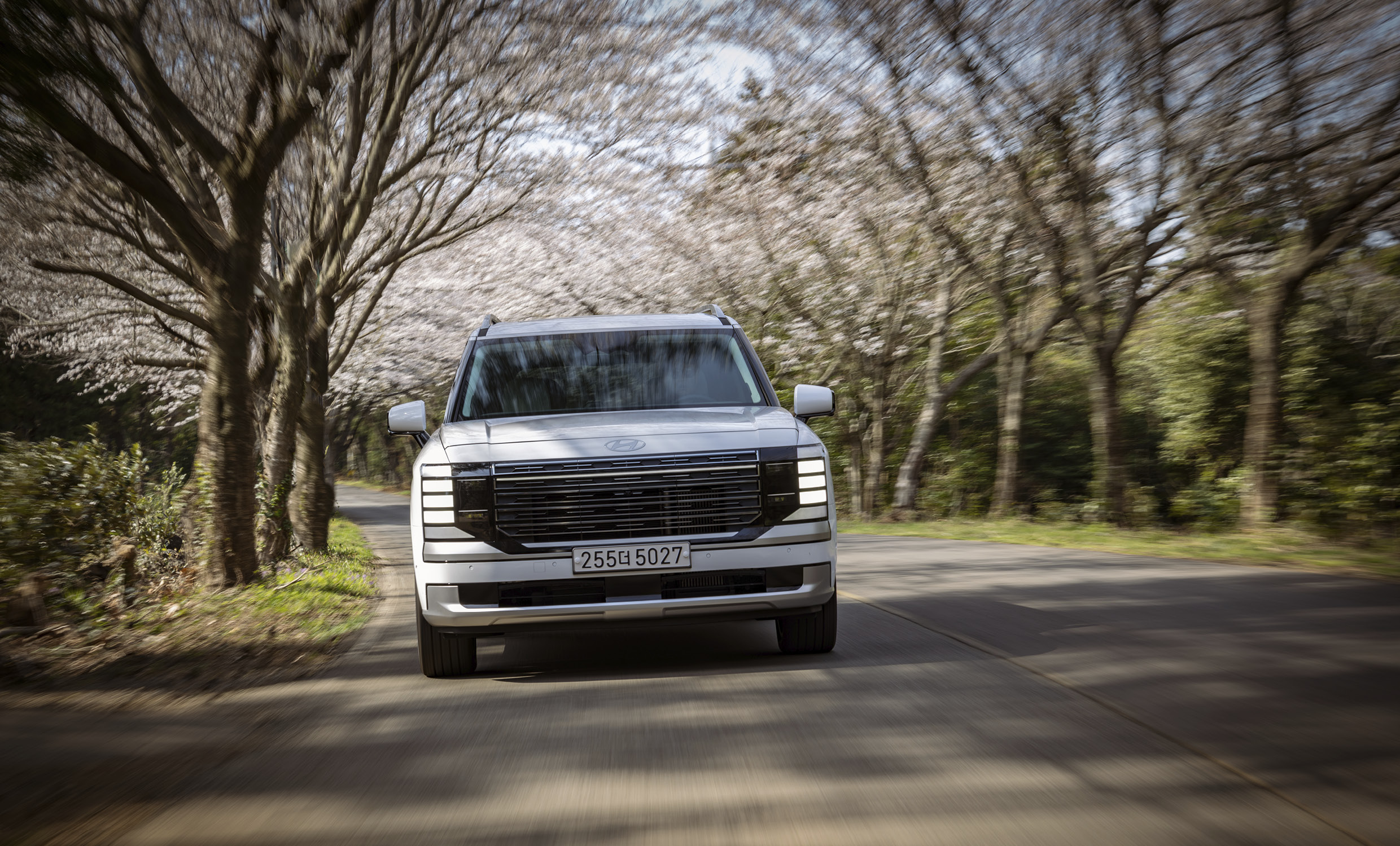 팰리세이드의 주행 모습