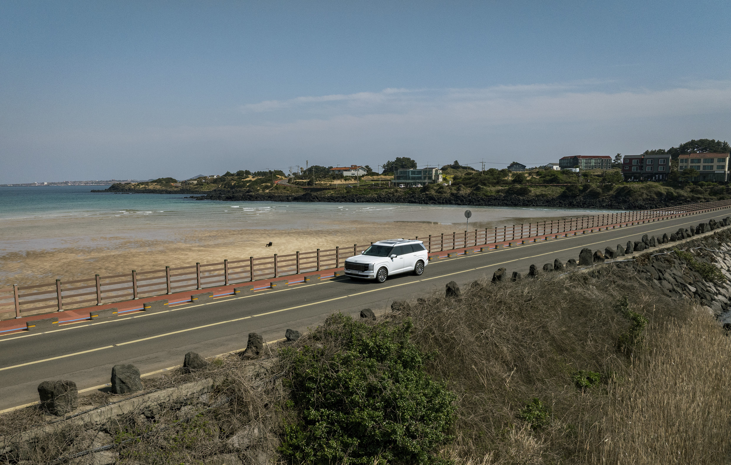 팰리세이드의 주행 모습