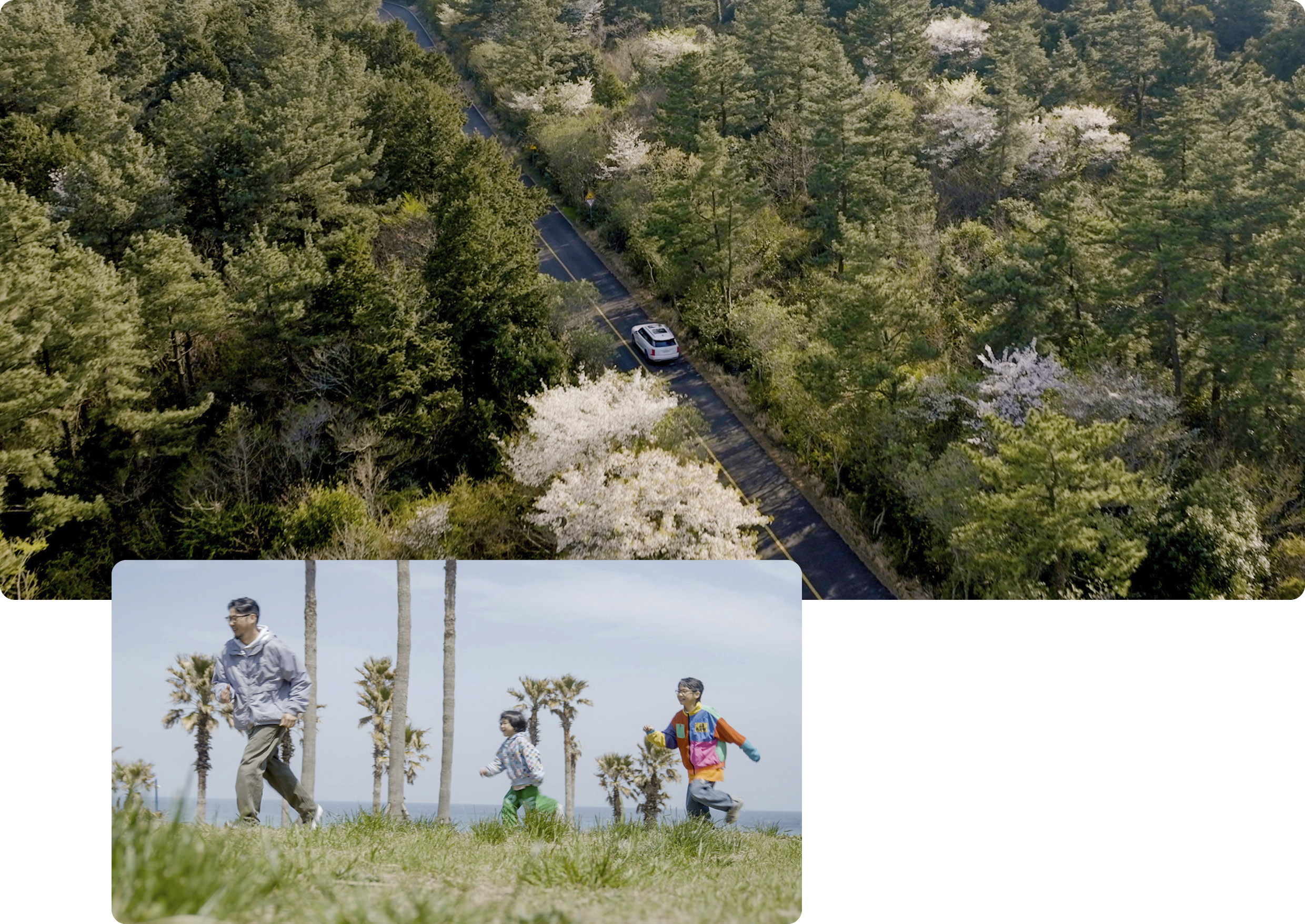 나무 사이를 달리는 팰리세이드와 자연 속에서 뛰어오는 가족들의 모습