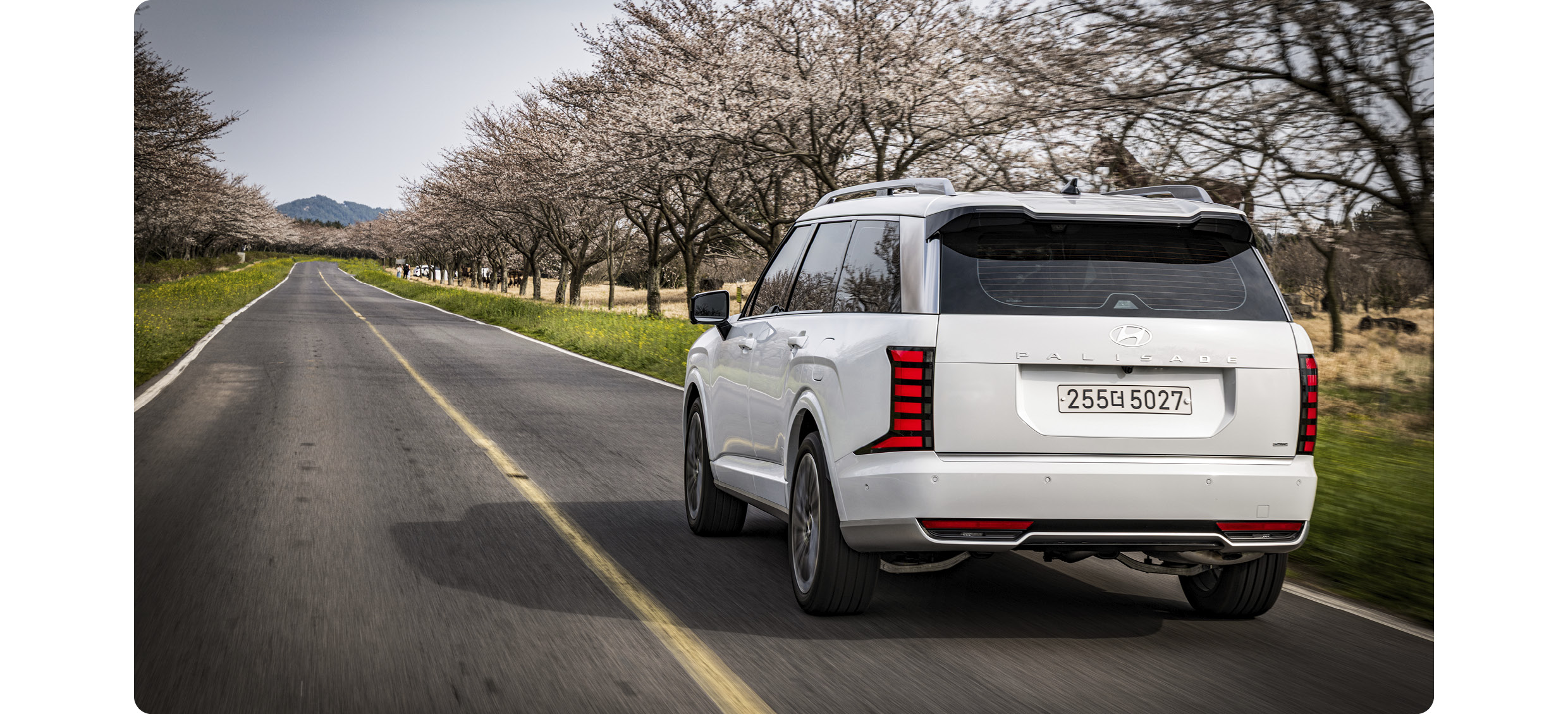 팰리세이드가 주행 중인 모습