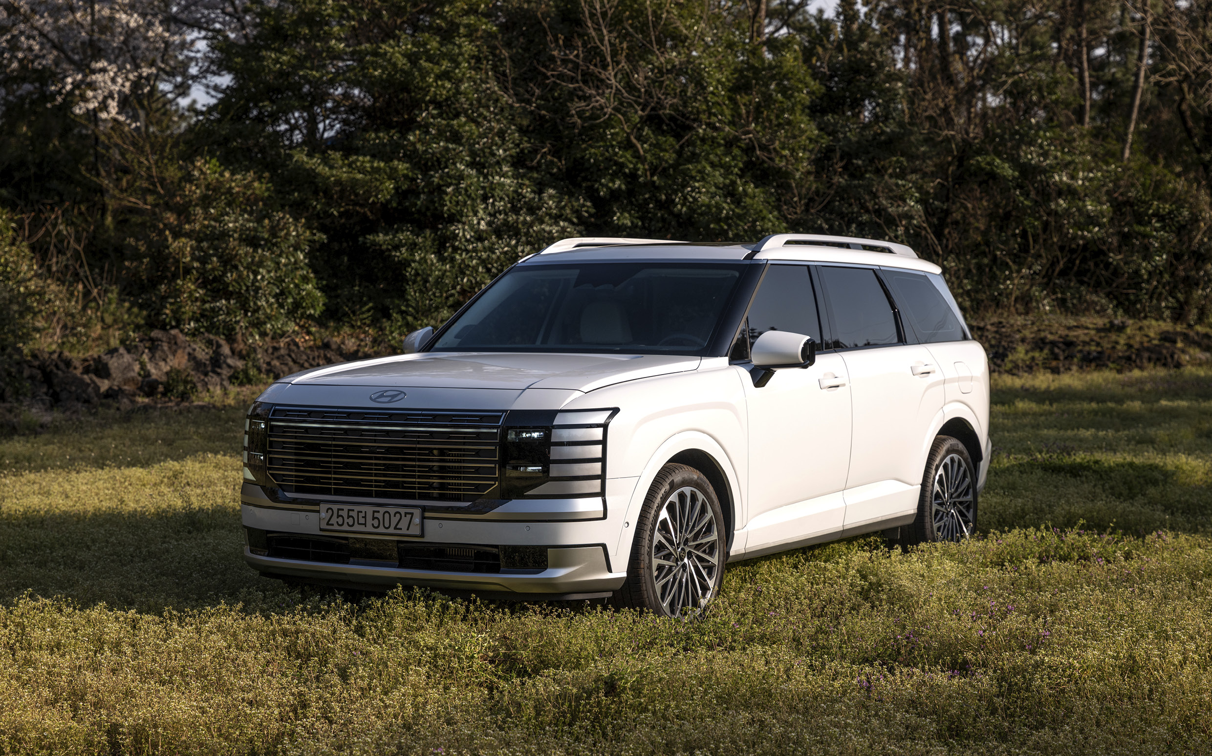 현대 팰리세이드