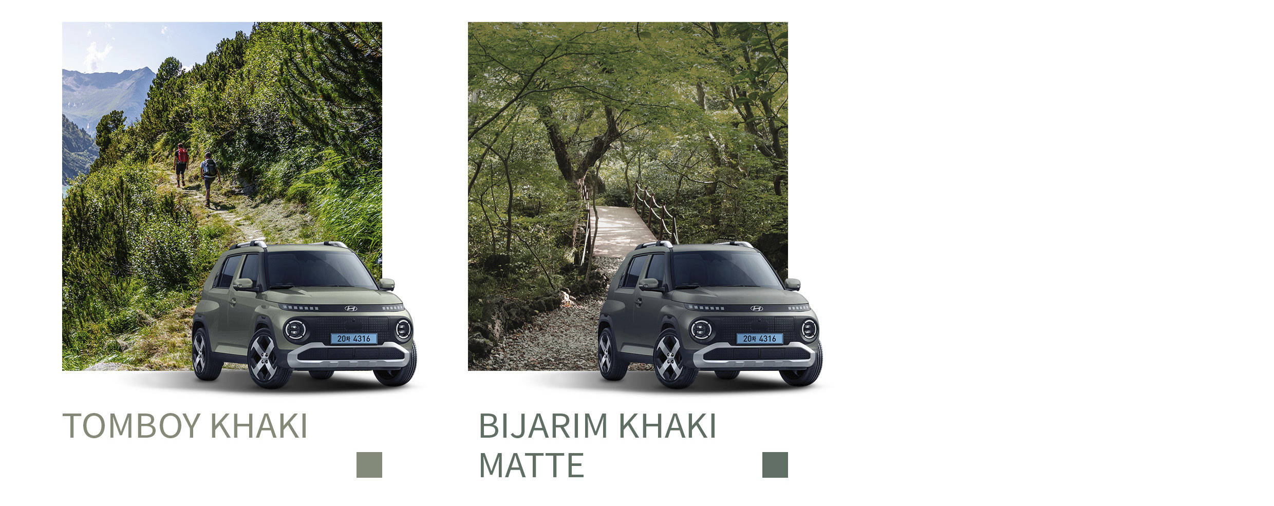 캐스퍼 일렉트릭 톰보이 카키, 비자림 카키 컬러