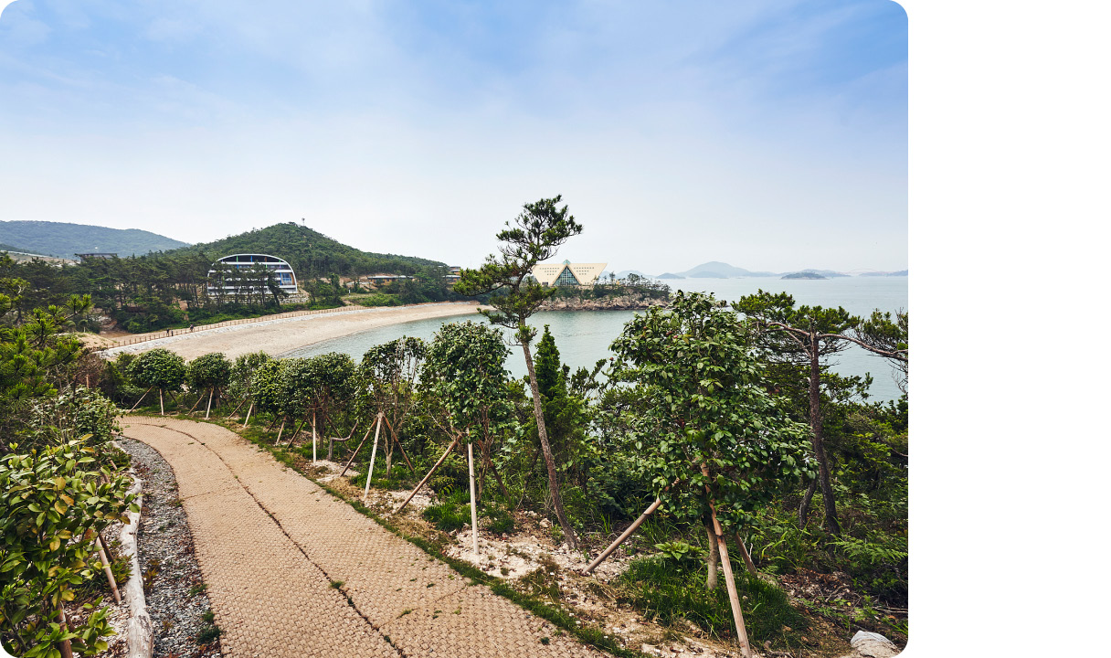아이오닉 포레스트 신시도의 모습
