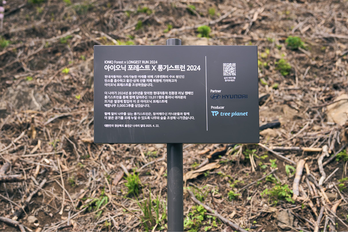 롱기스트런 2024 때 기부한 나무를 산불 피해 지역에 옮겨 심었다는 내용이 담긴 팻말의 모습