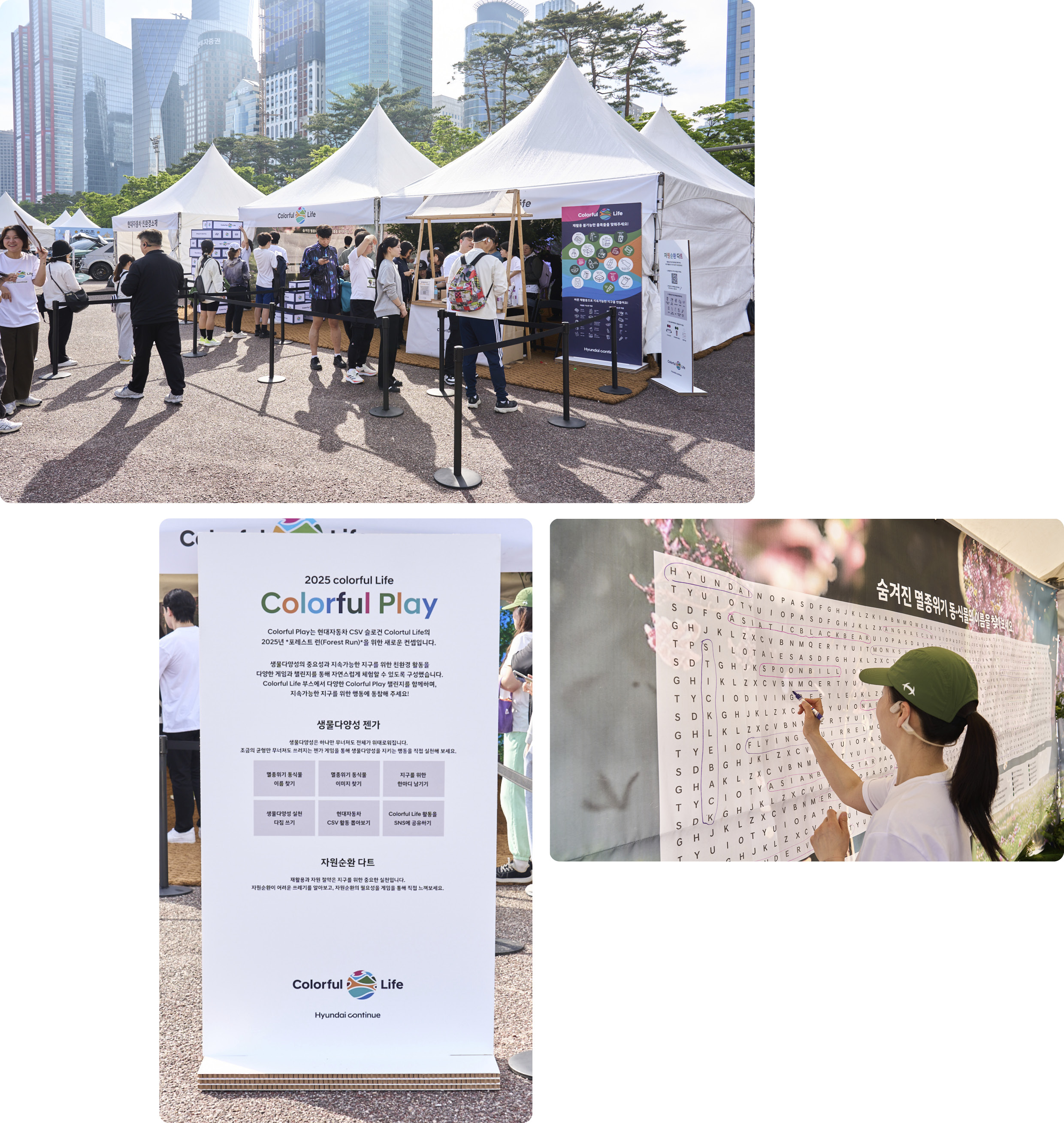 포레스트런 2025 현장의 모습