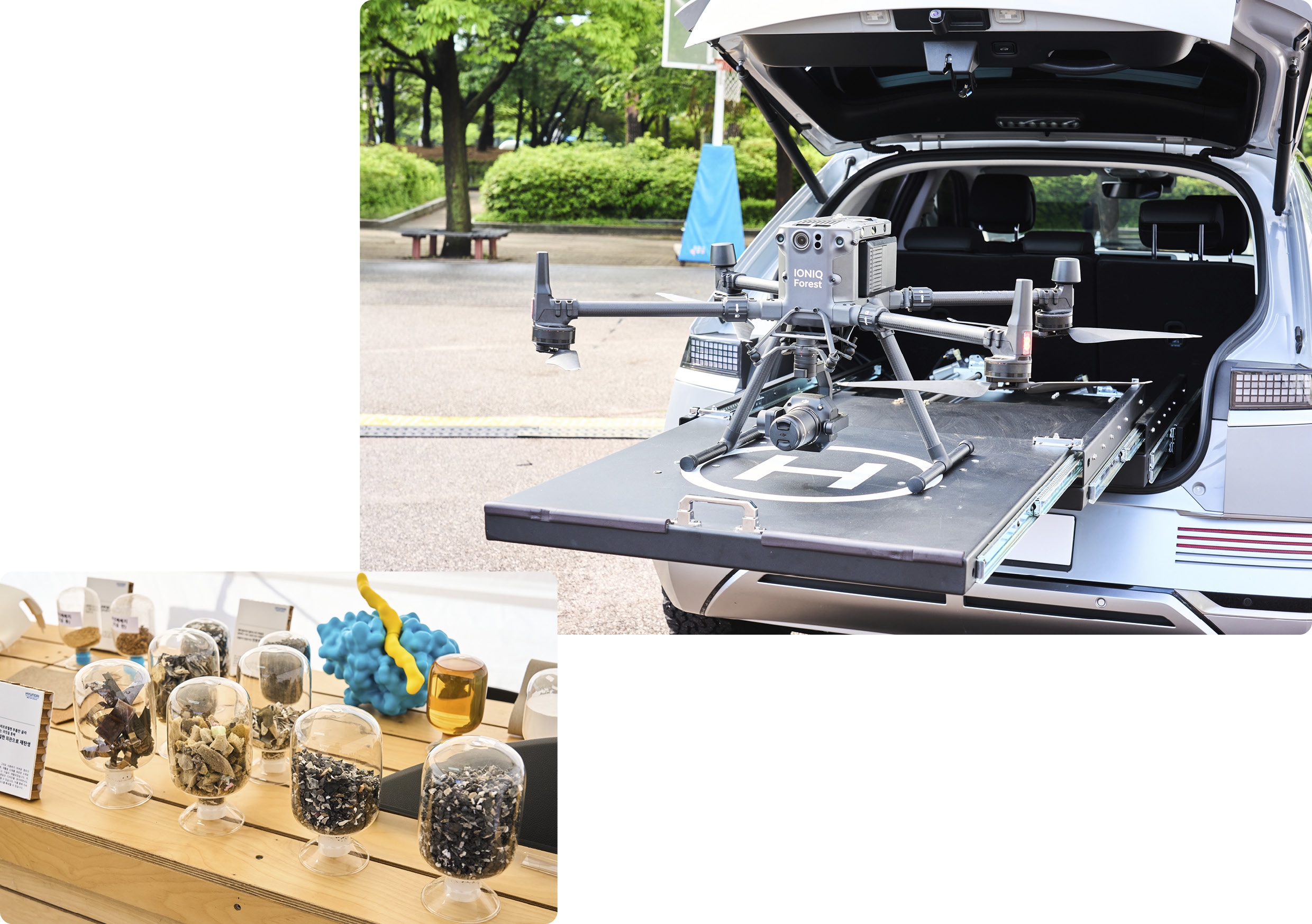 포레스트런 2025 현장의 모습