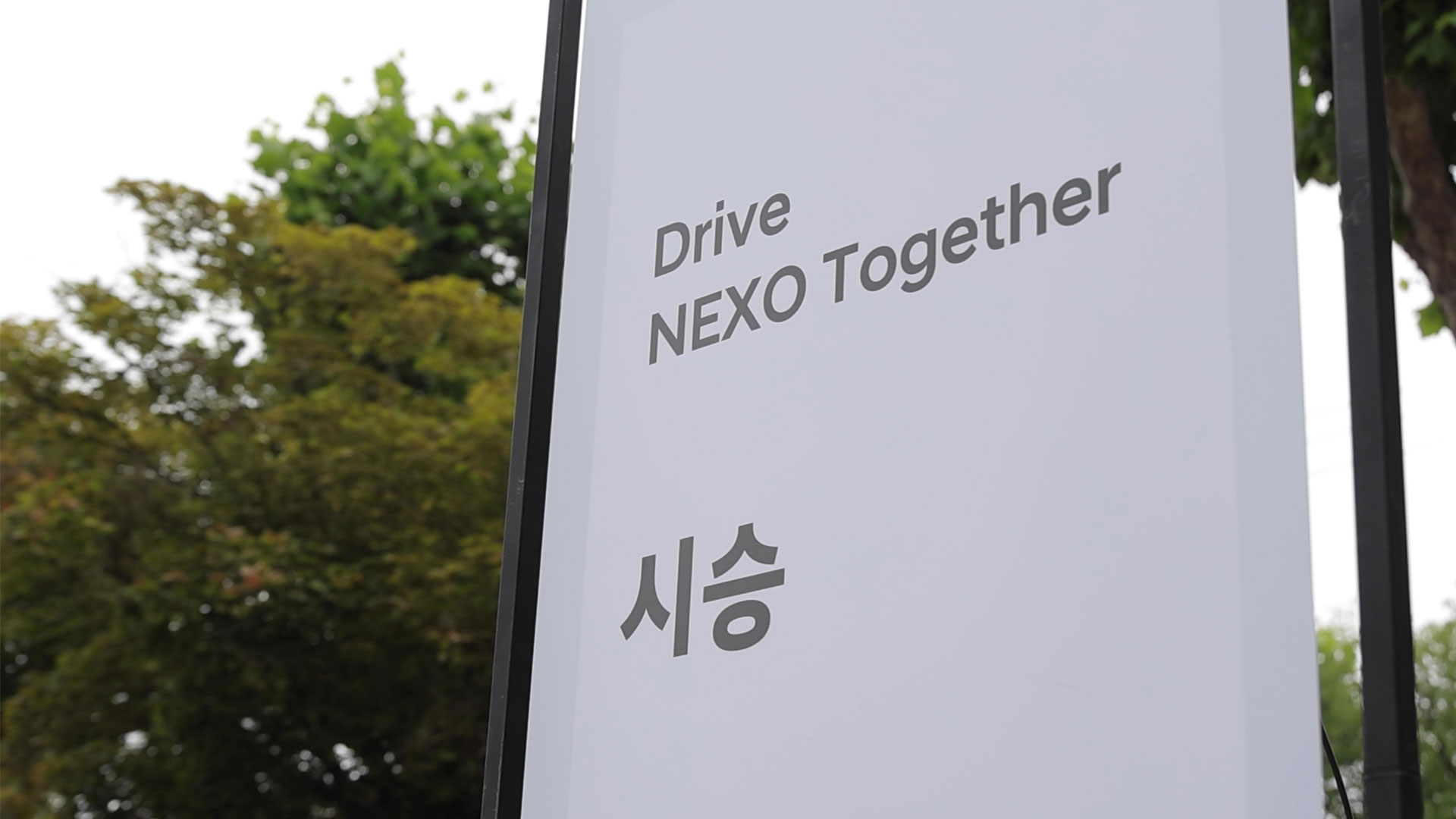 6일(일) 춘천에서 개최된 ‘Drive NEXO Together’ 행사의 모습
