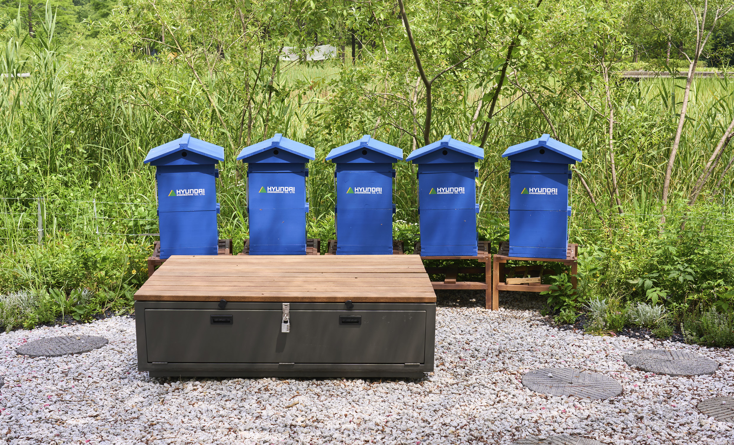 현대엔지니어링이 건설한 꿀벌 거주지의 모습