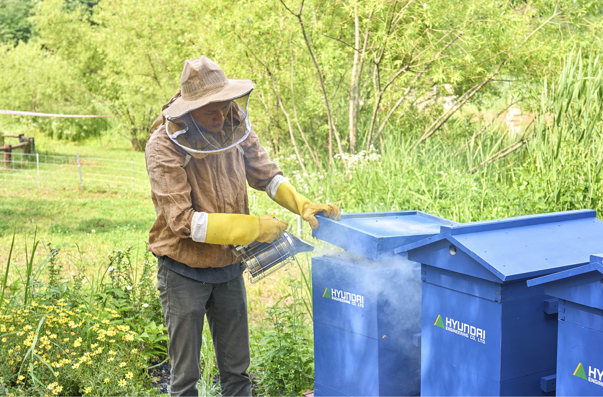 꿀벌 서식지를 관리하는 모습