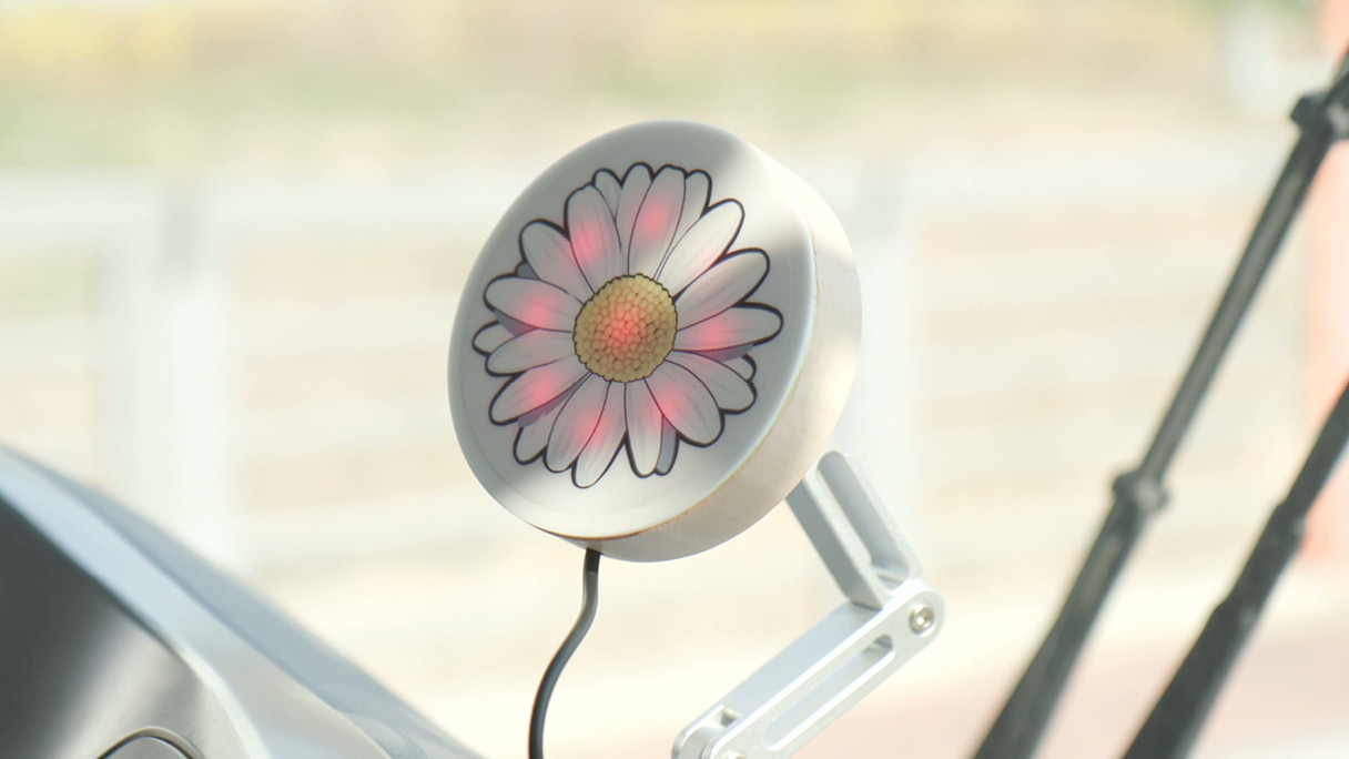 데이지 비콘의 모습