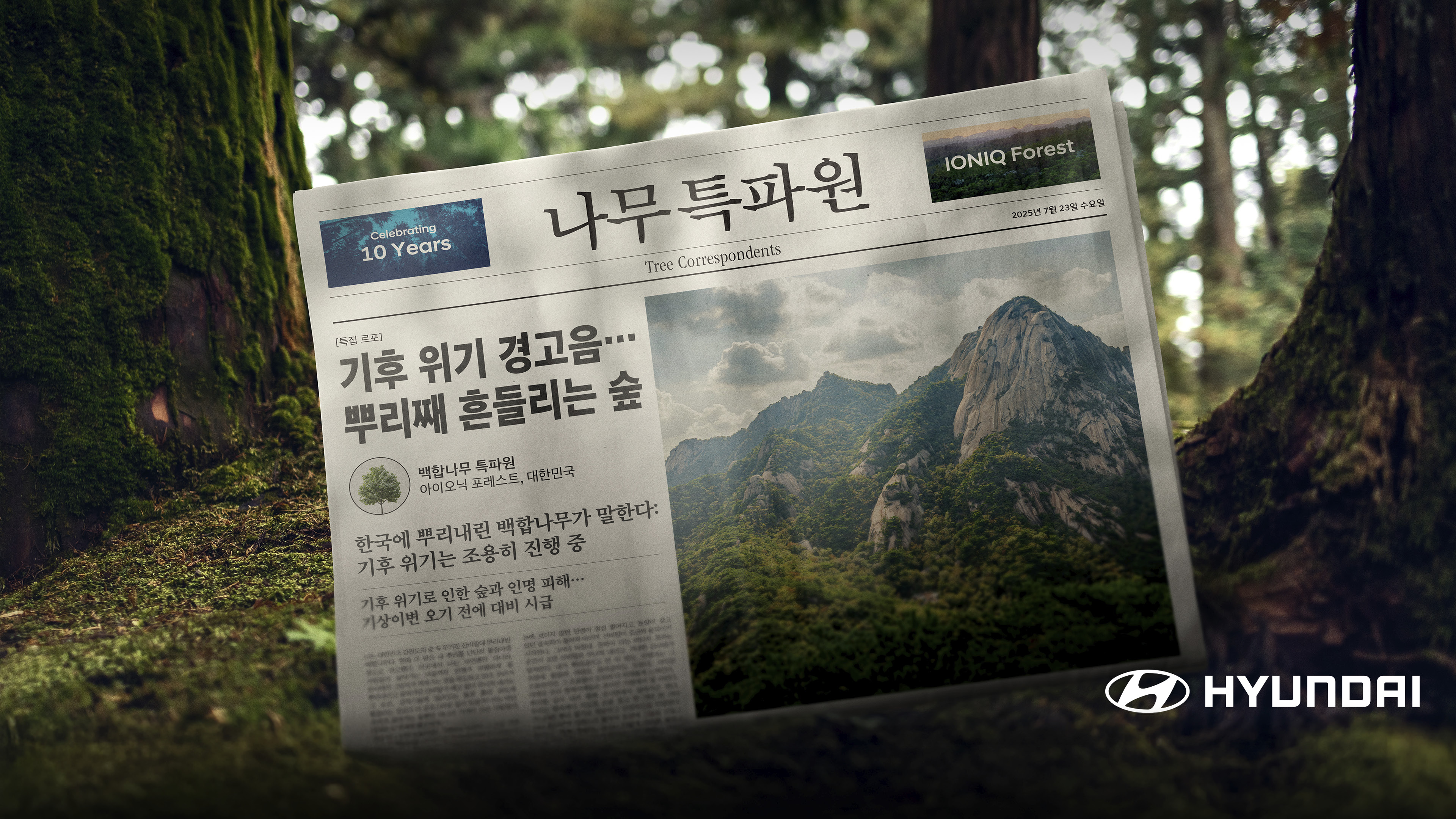 현대차 나무 특파원