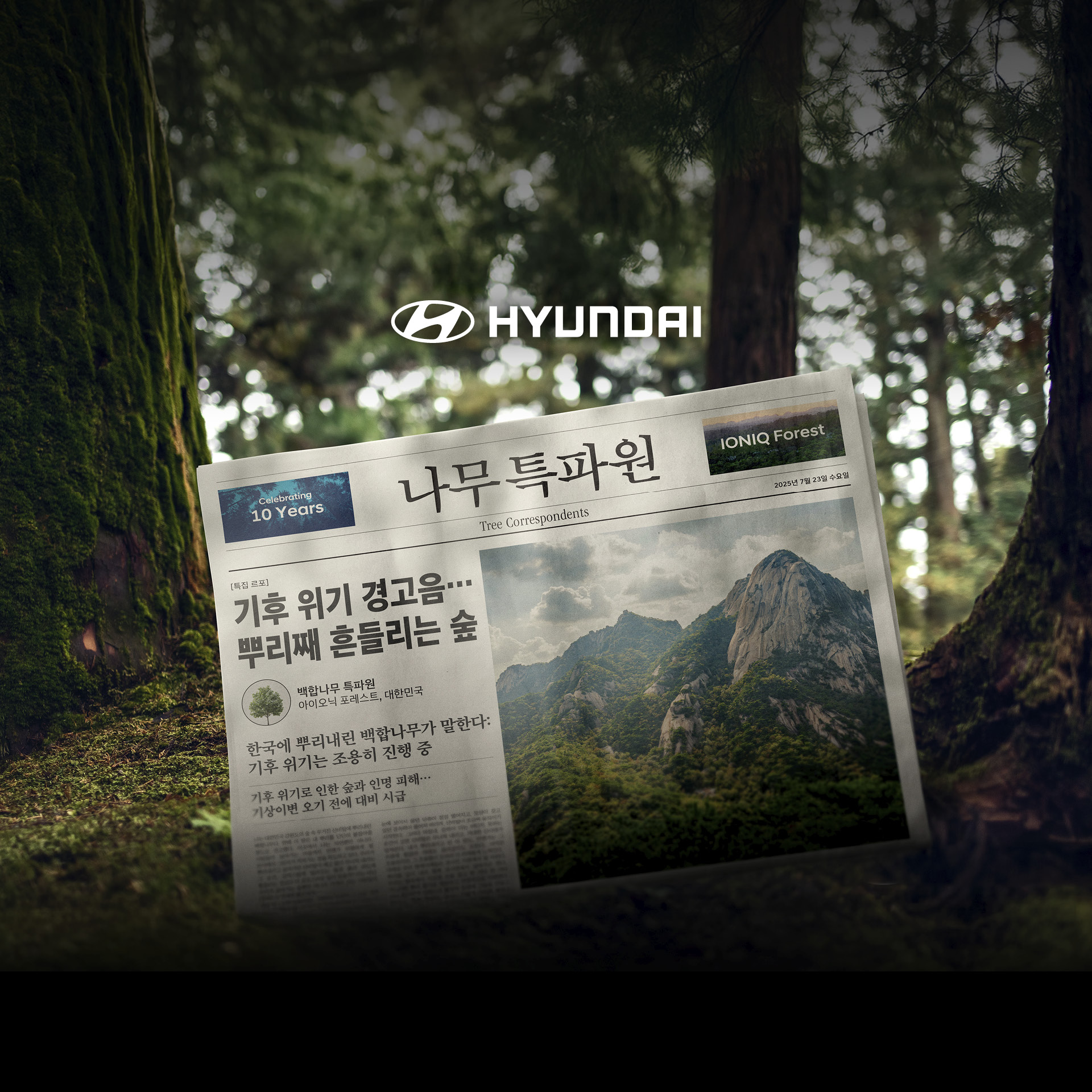 현대차 나무 특파원