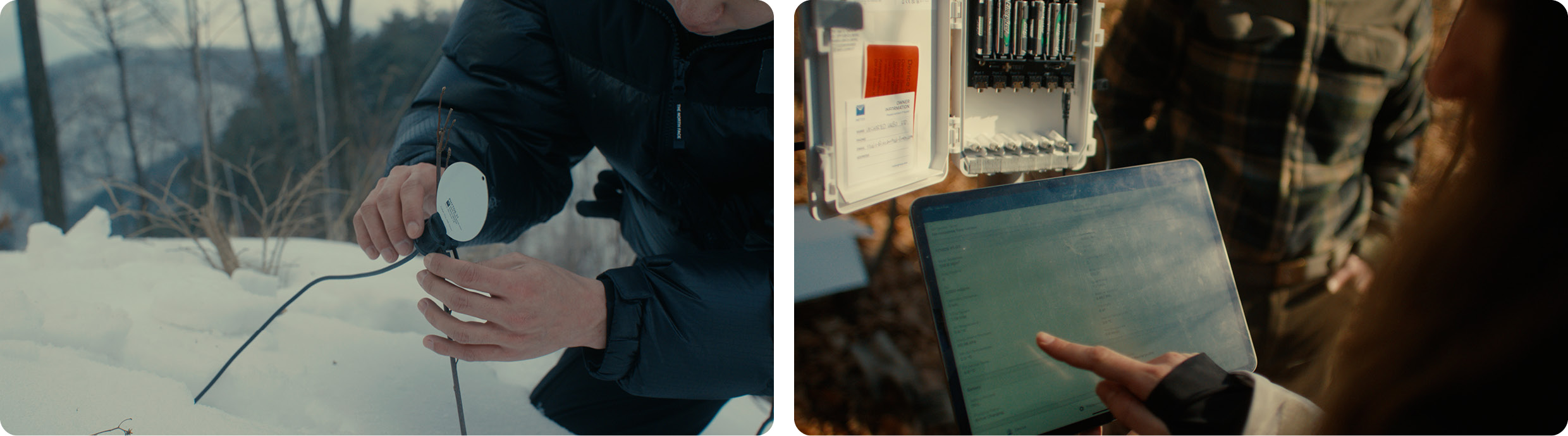 나무에 트래커를 설치하고 데이터를 분석하는 모습