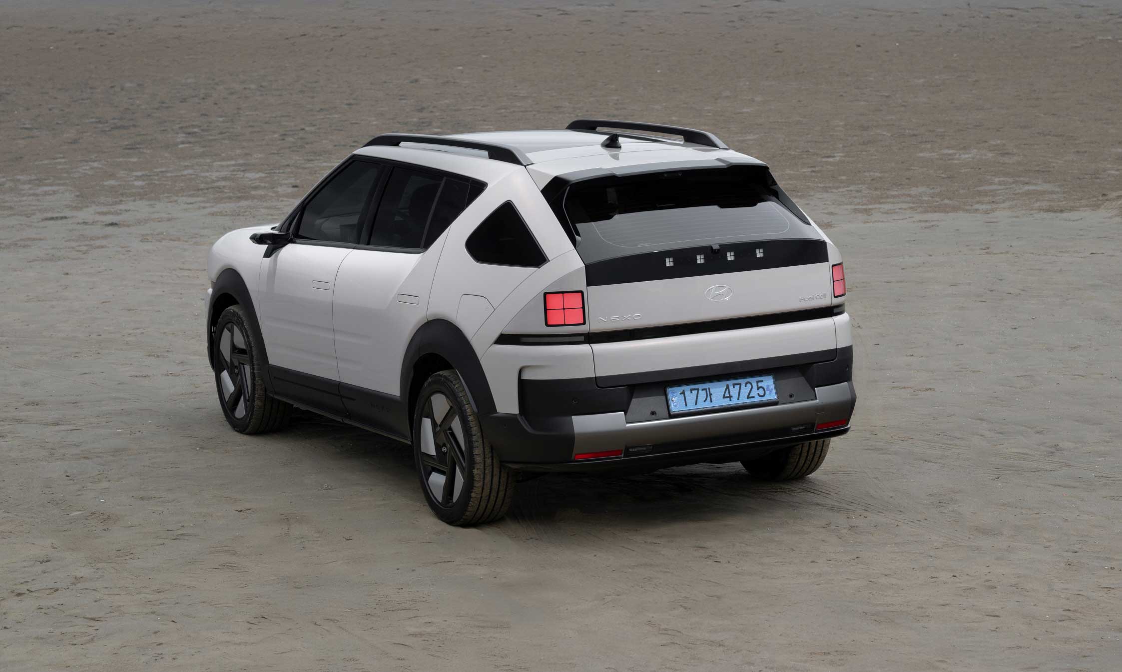 해변 위 디 올 뉴 넥쏘 후측면