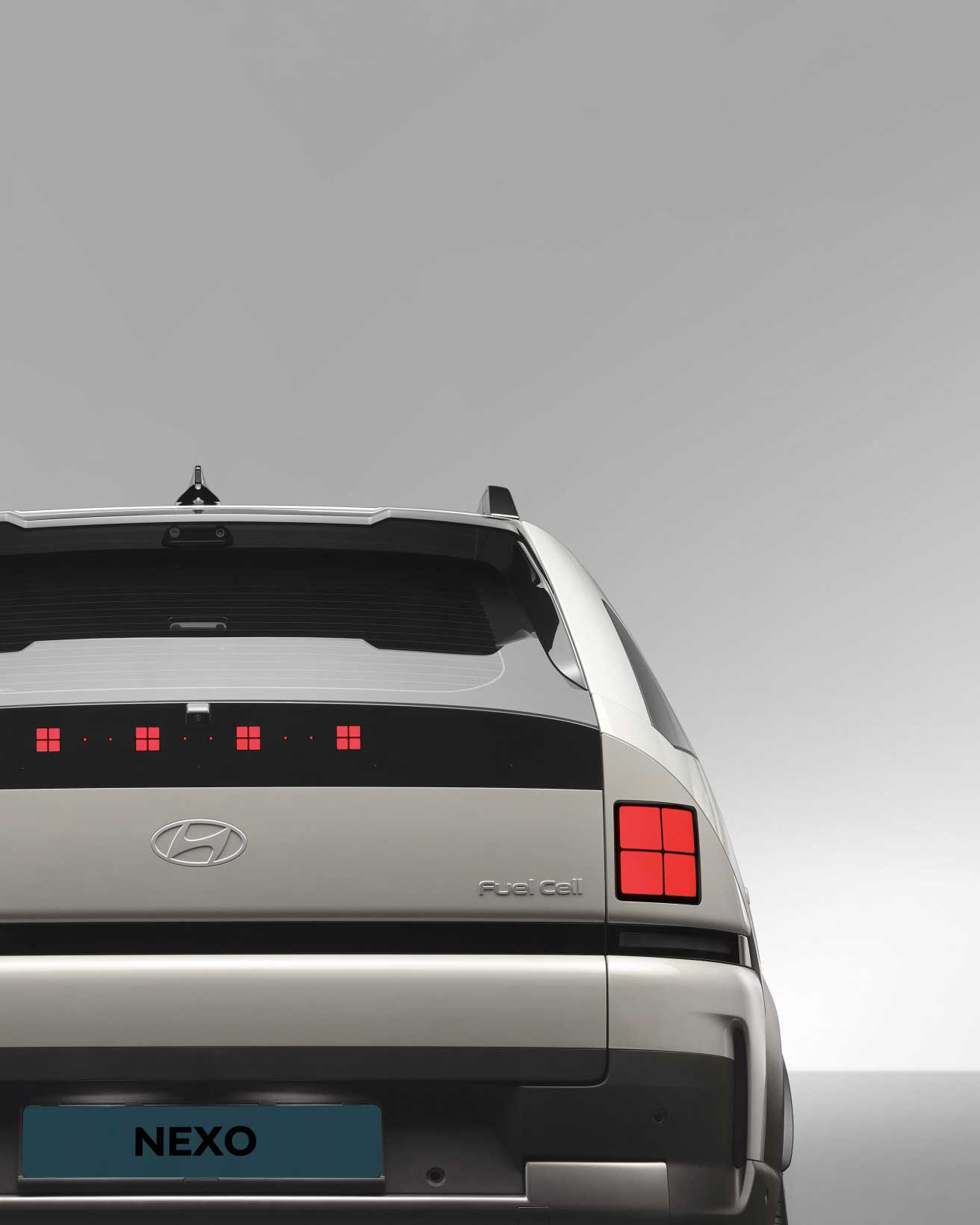 The All New NEXO 리어피쳐