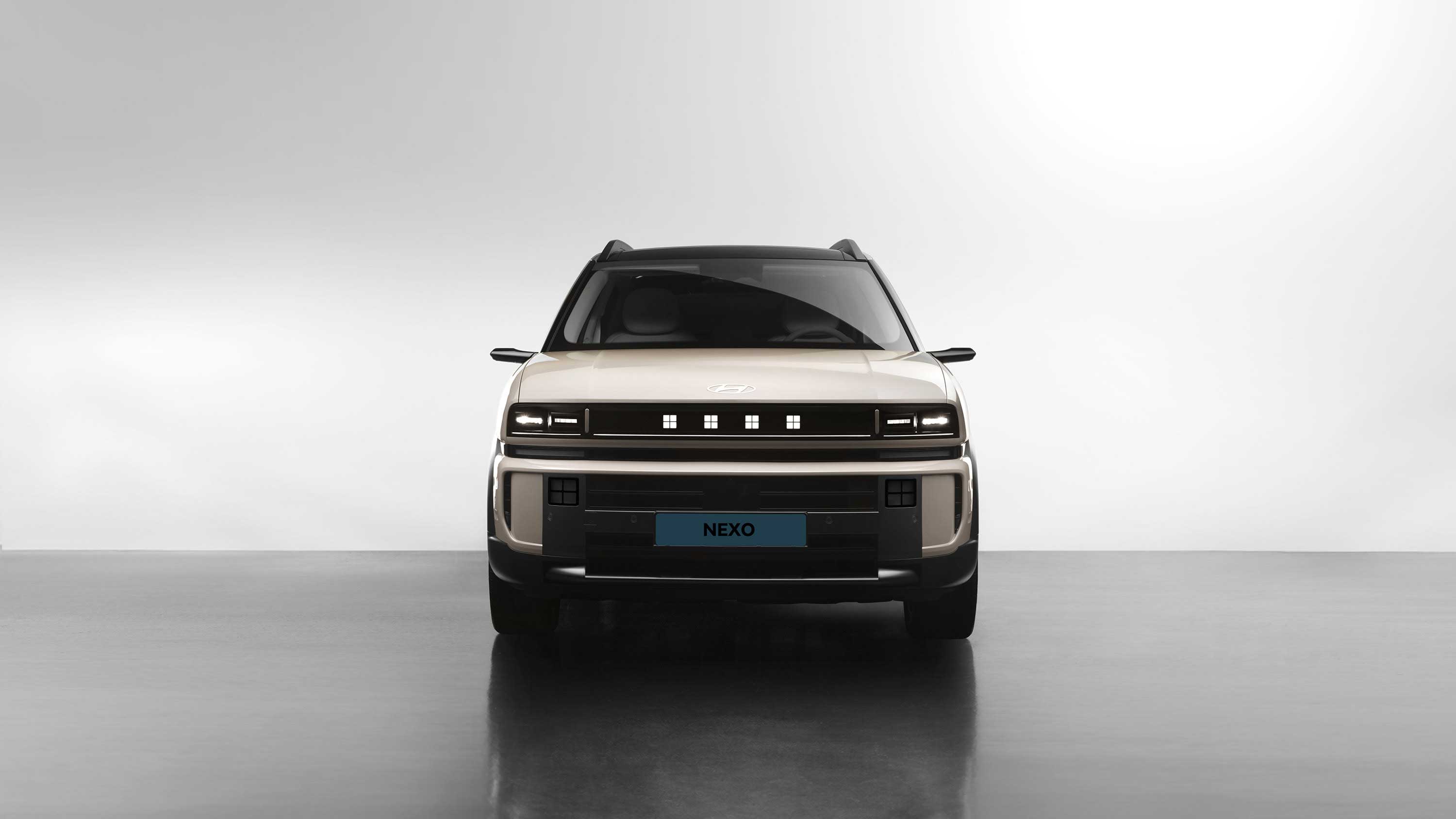 디 올 뉴 넥쏘 정정면