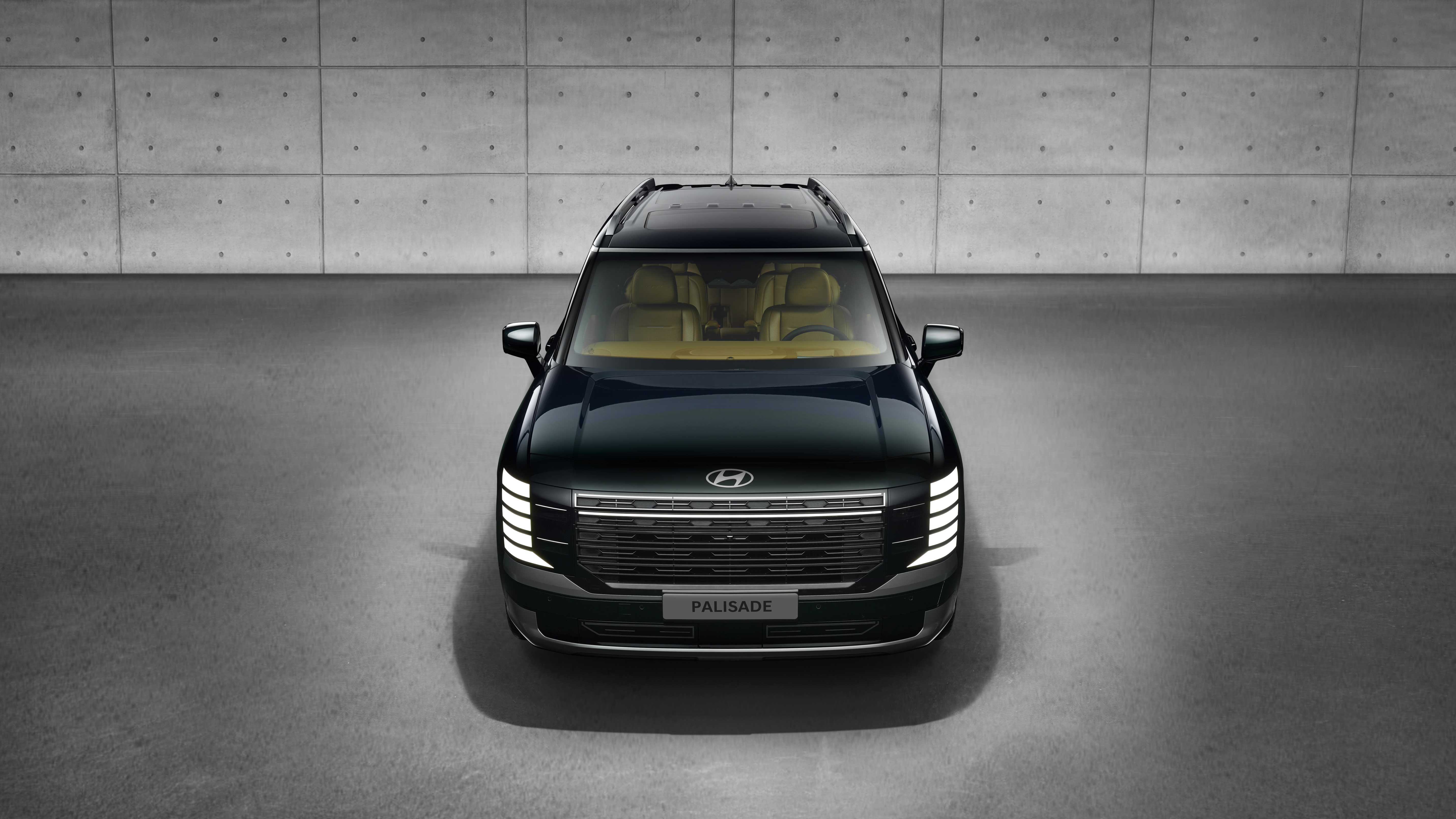 디 올 뉴 팰리세이드_전측부감