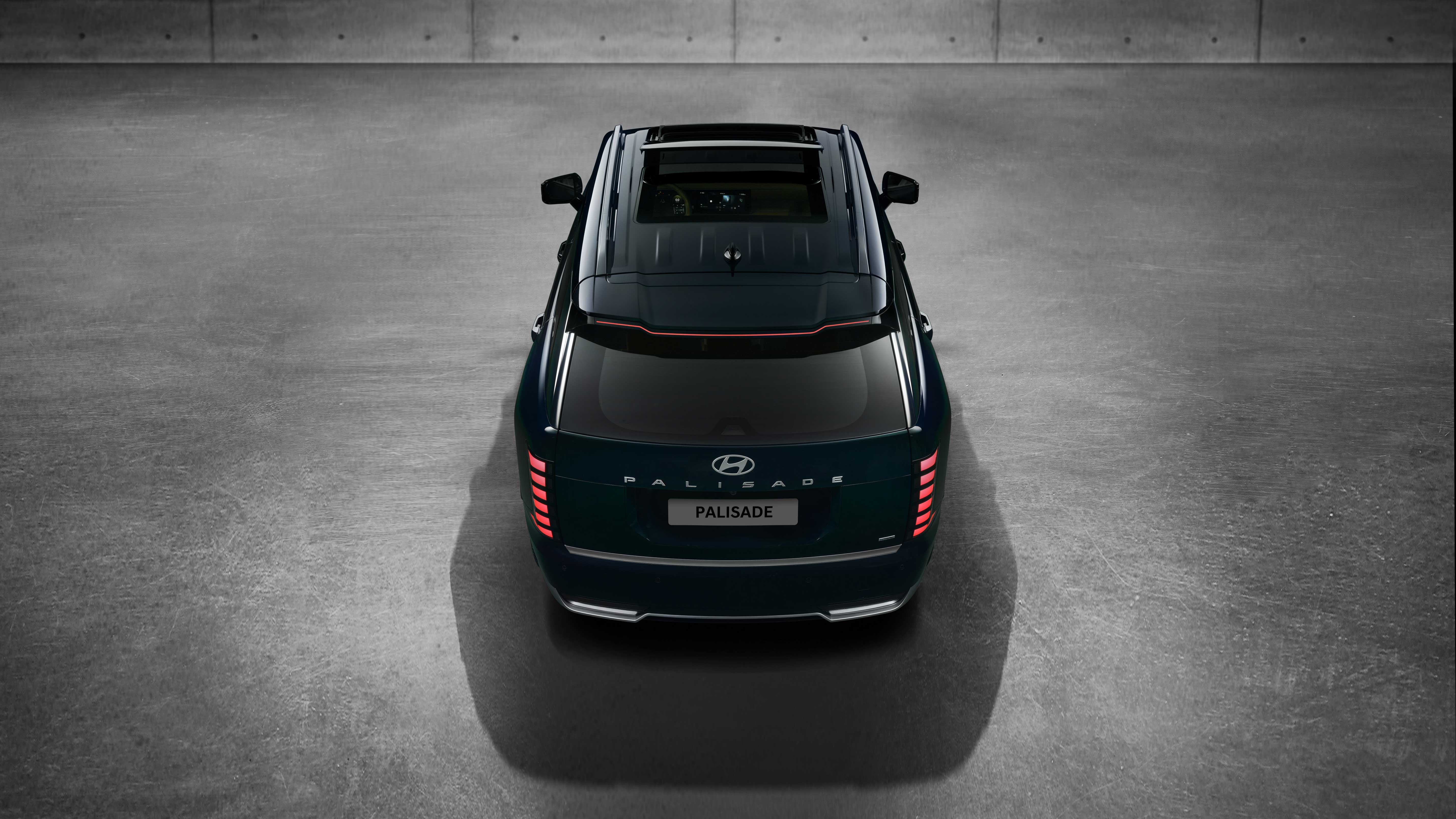 디 올 뉴 팰리세이드_후측부감