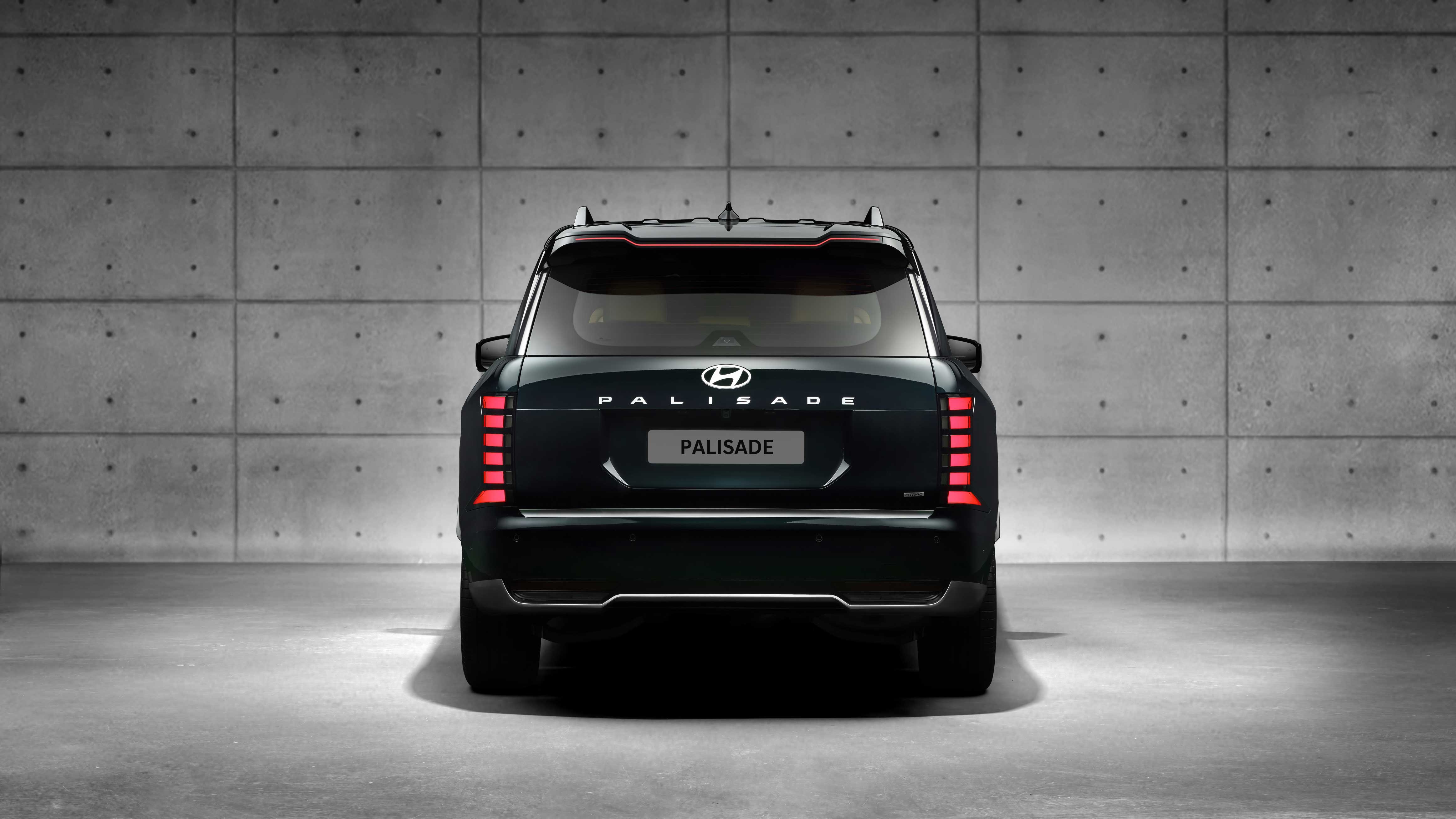 디 올 뉴 팰리세이드_ 정후면