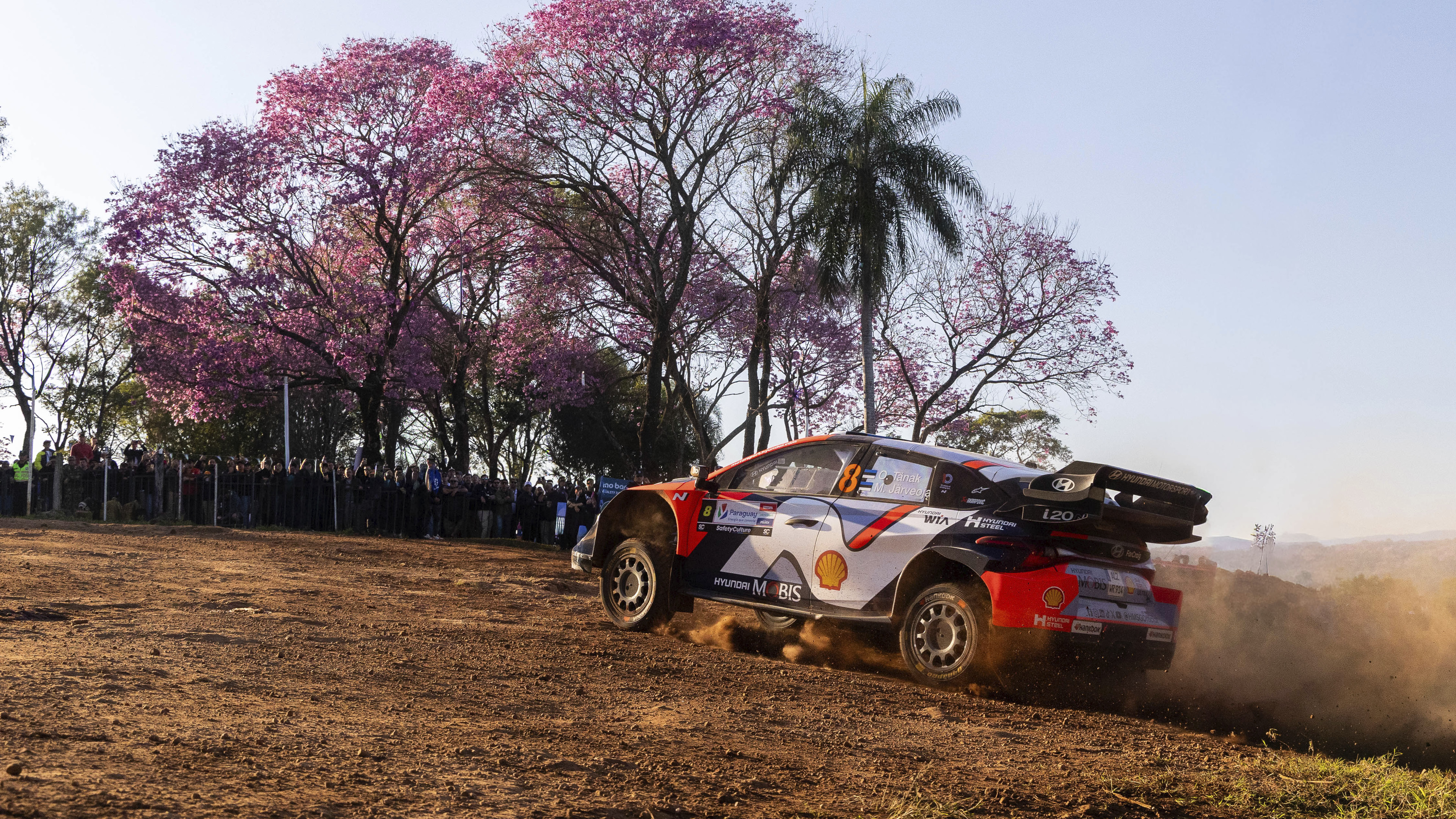 i20 N 랠리1 경주차가 달리고 있는 모습