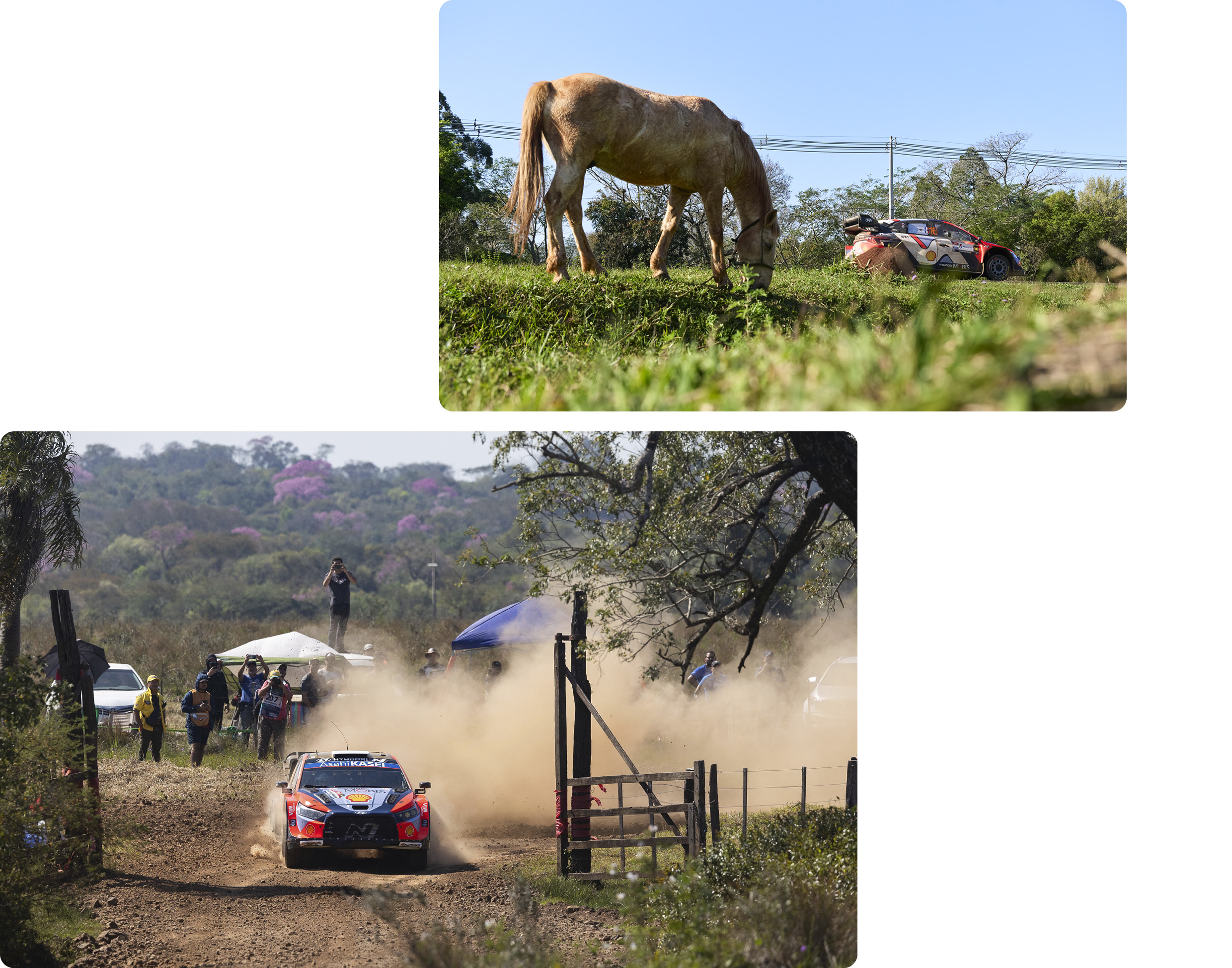 i20 N 랠리1 경주차가 달리는 모습