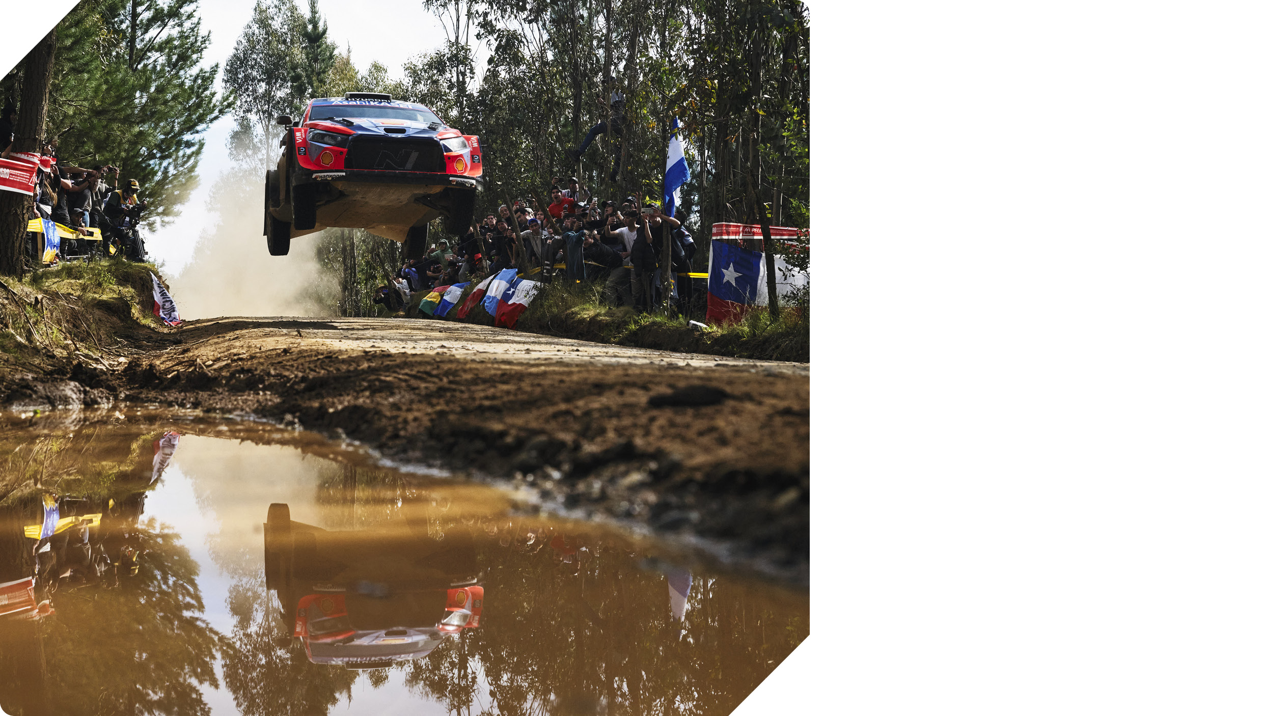 랠리카가 점프하고 있는 모습