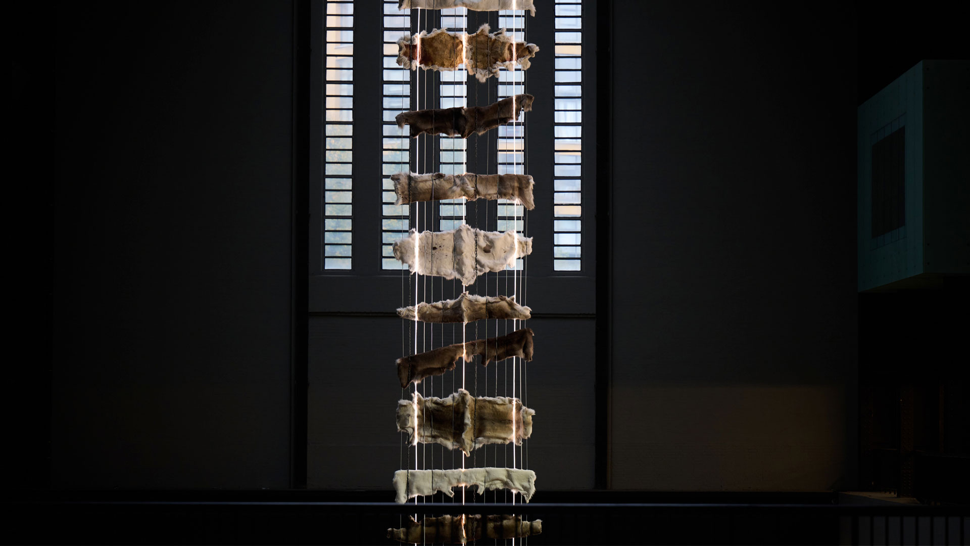 Hyundai Commission: Máret Ánne Sara: Goavve-Geabbil, Installation View at Tate Modern. Photo © Tate (Ben Fisher)