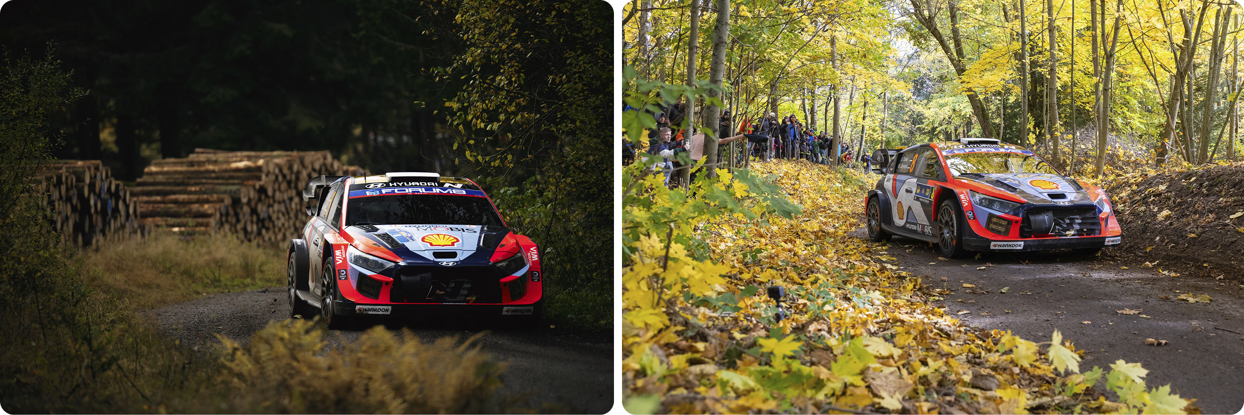 2025 WRC 12라운드 중앙유럽 랠리 주행 모습