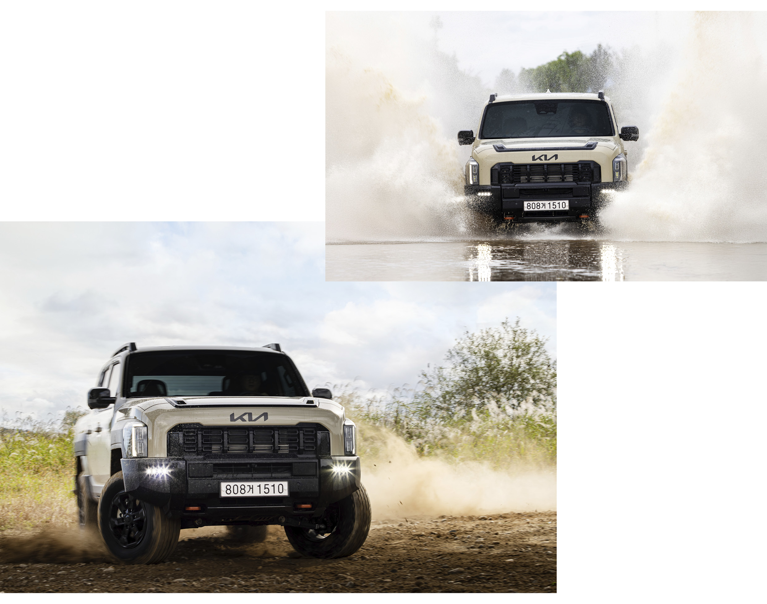 타스만의 주행 모습